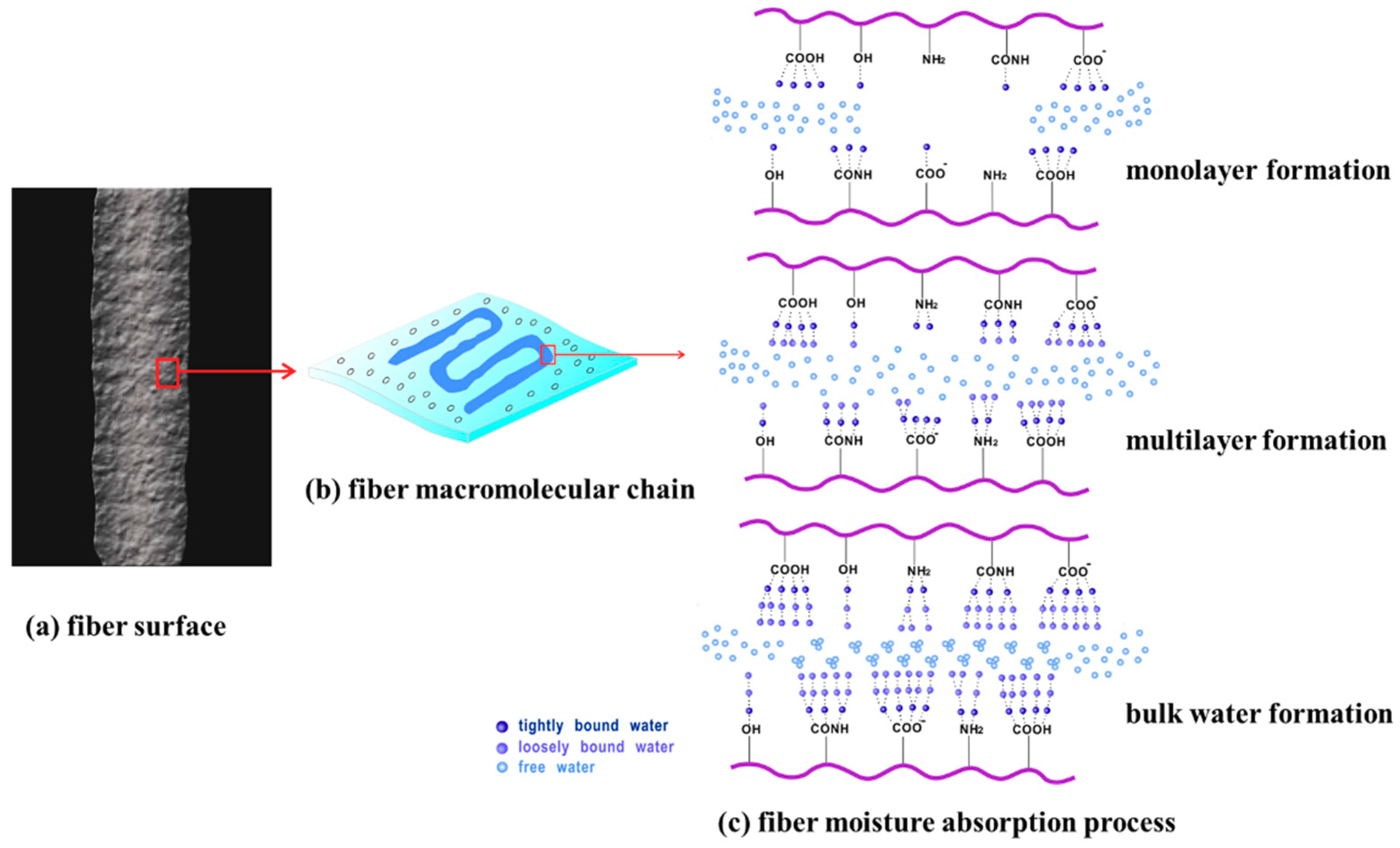 Polymers Free FullText Study on the Moisture Absorption and