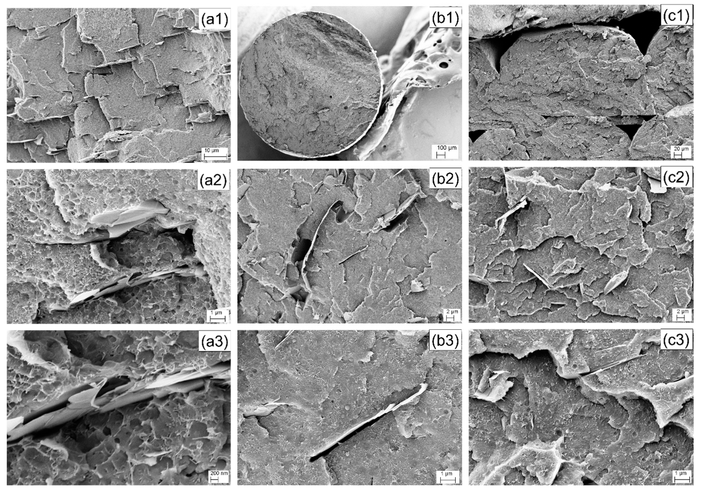 Polymers 12 00101 g003 Polymers 12 00101 g003