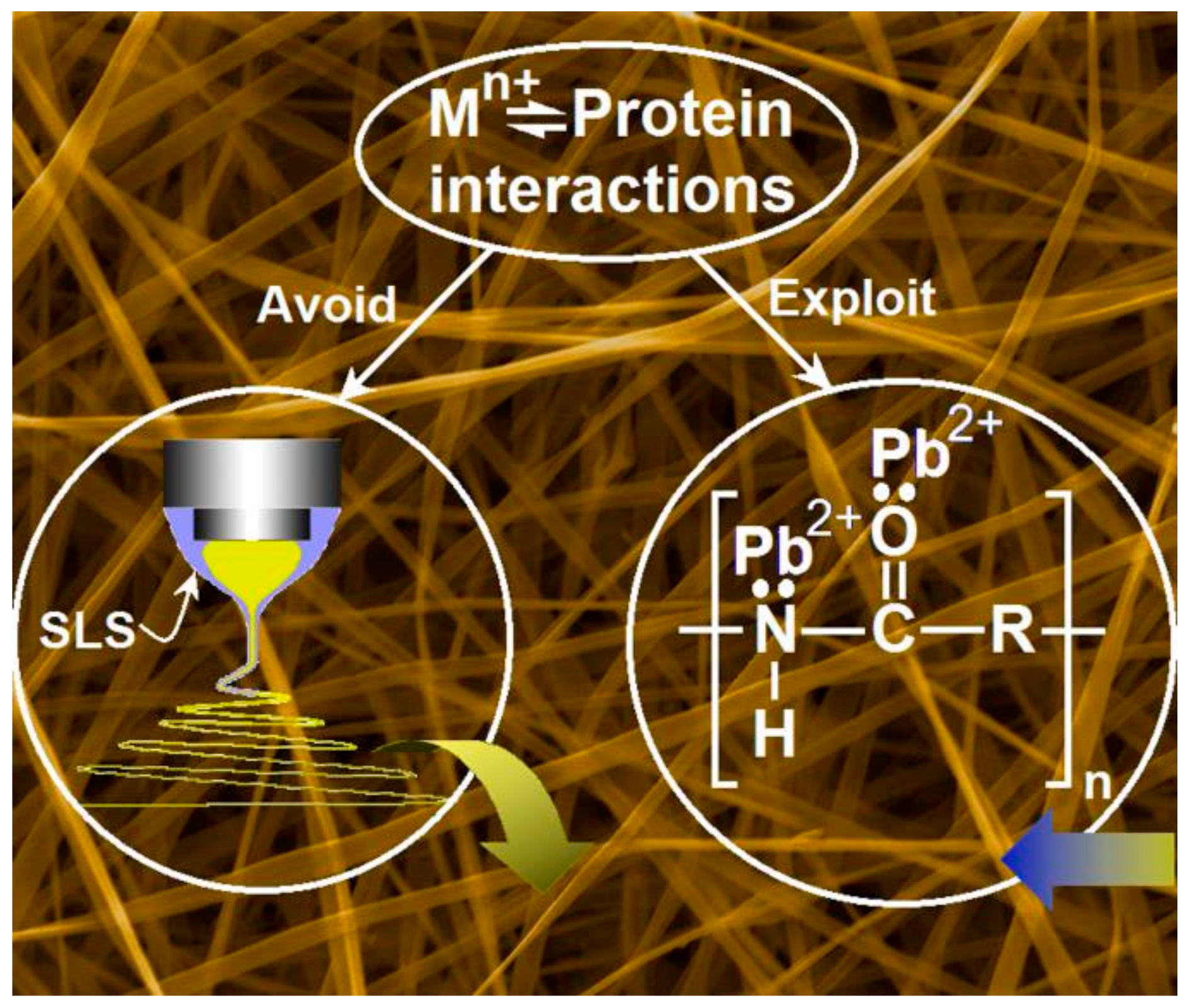 Polymers 12 00103 g006 Polymers 12 00103 g006