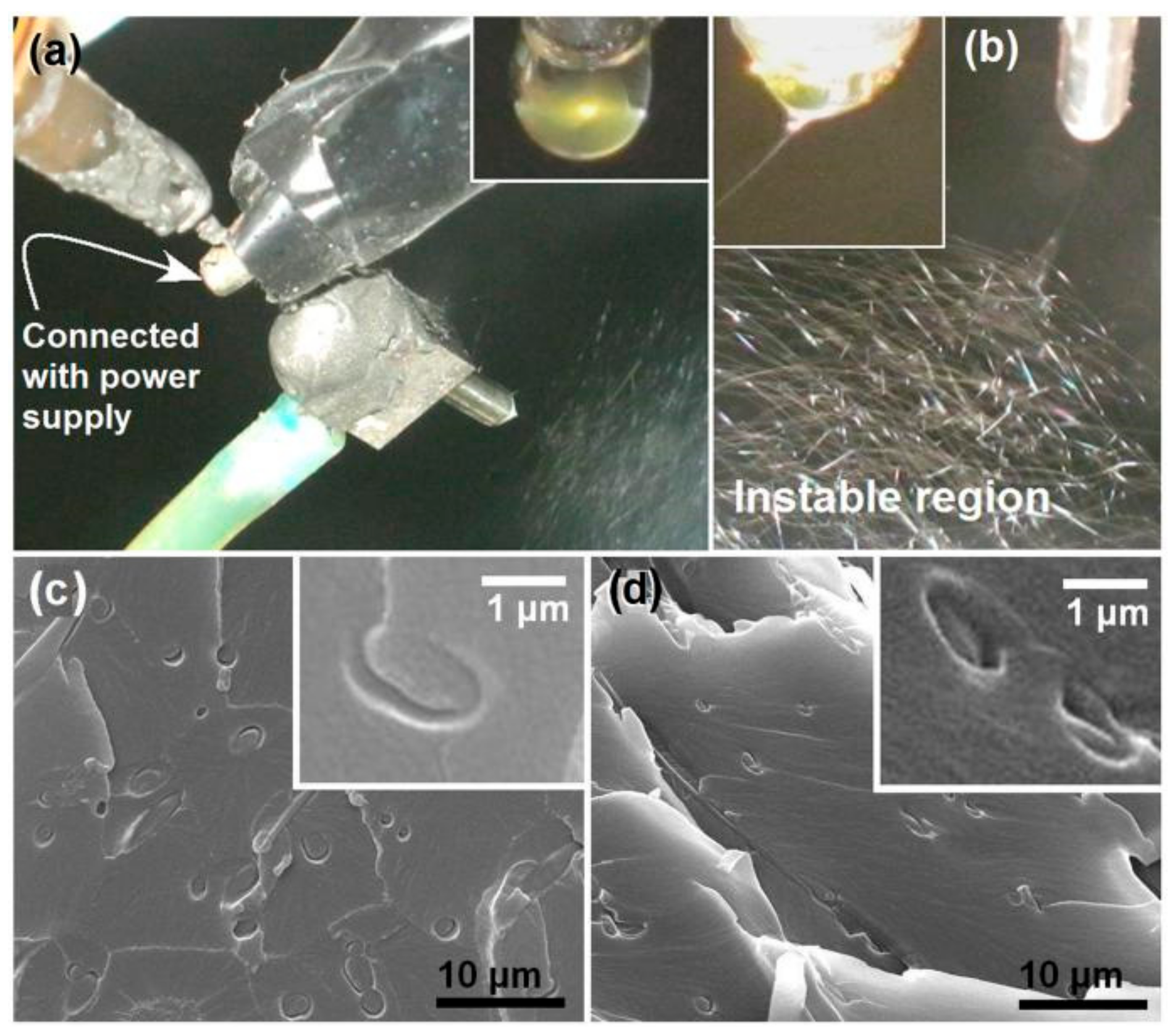 Polymers 12 00103 g007 Polymers 12 00103 g007
