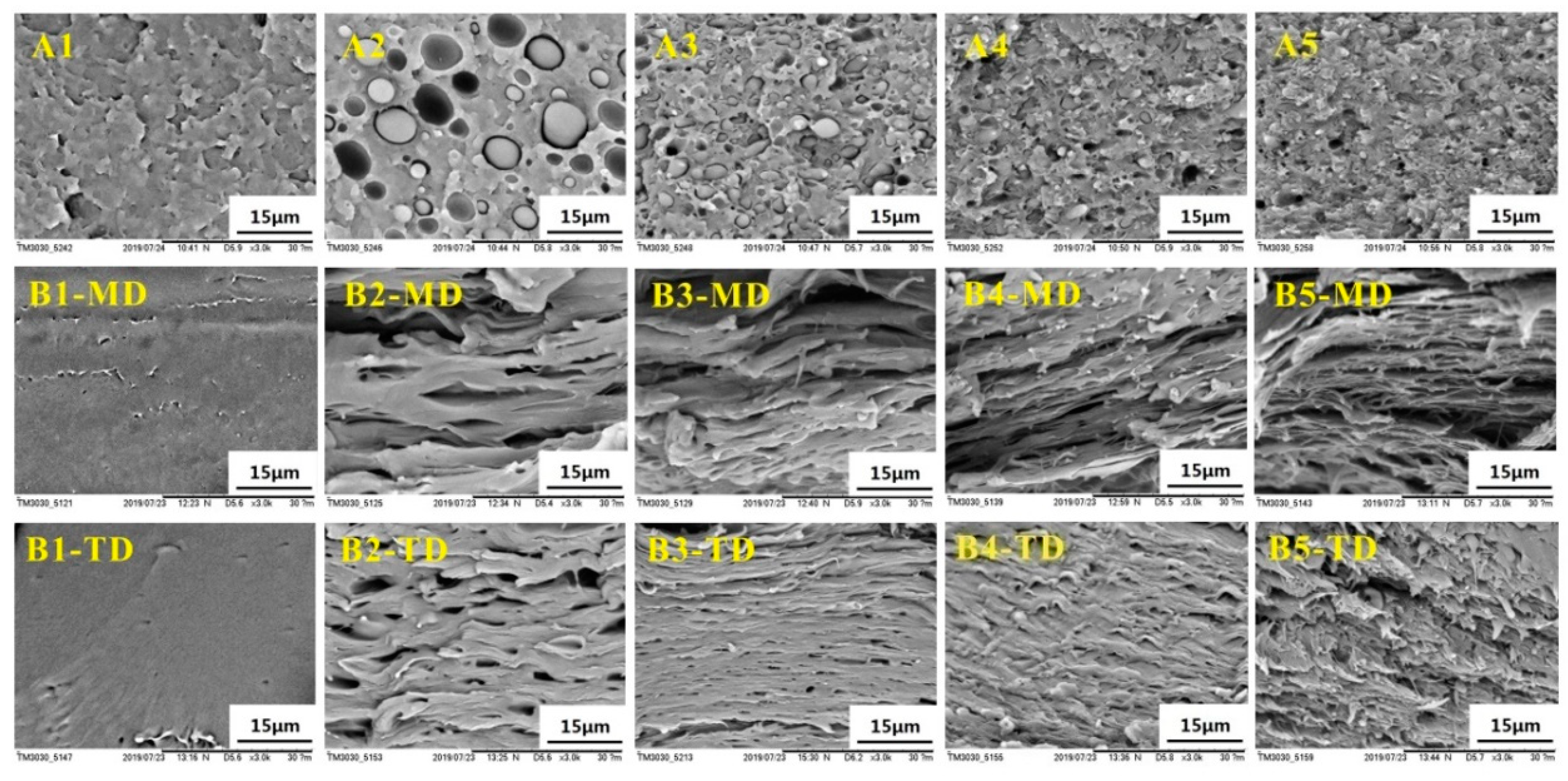 Polymers 12 00106 g012 Polymers 12 00106 g012