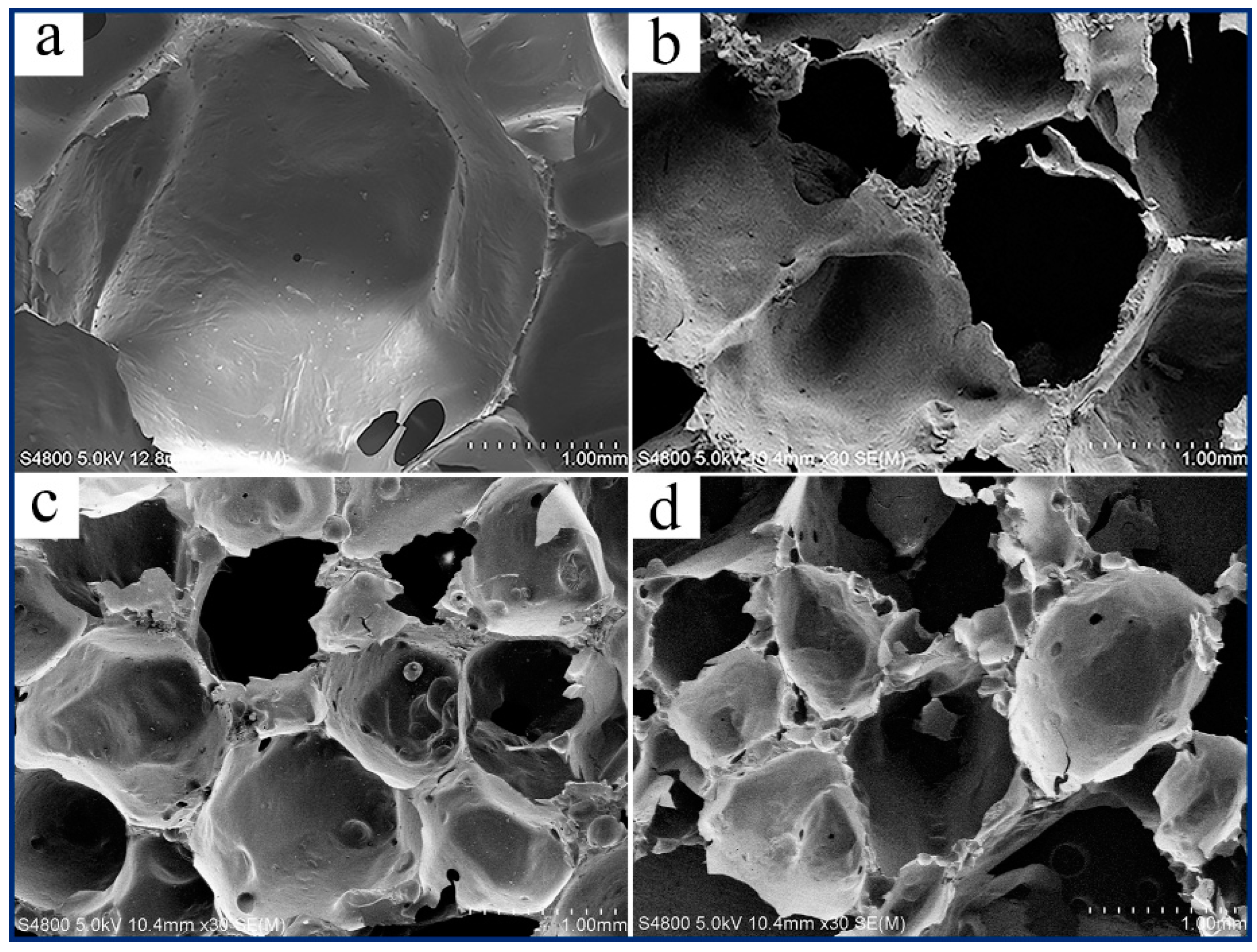 Polymers 12 00107 g006