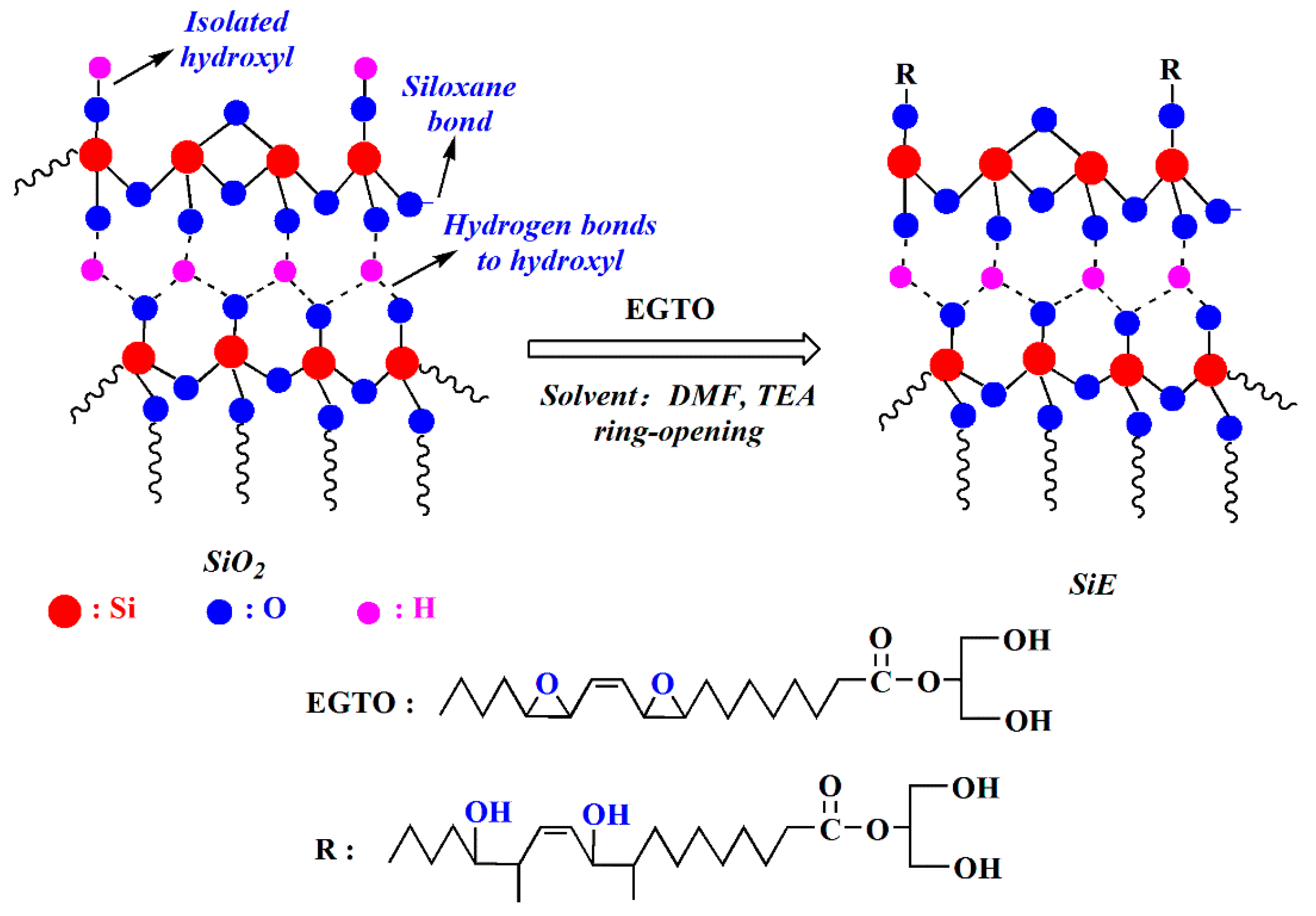 Polymers 12 00119 g002