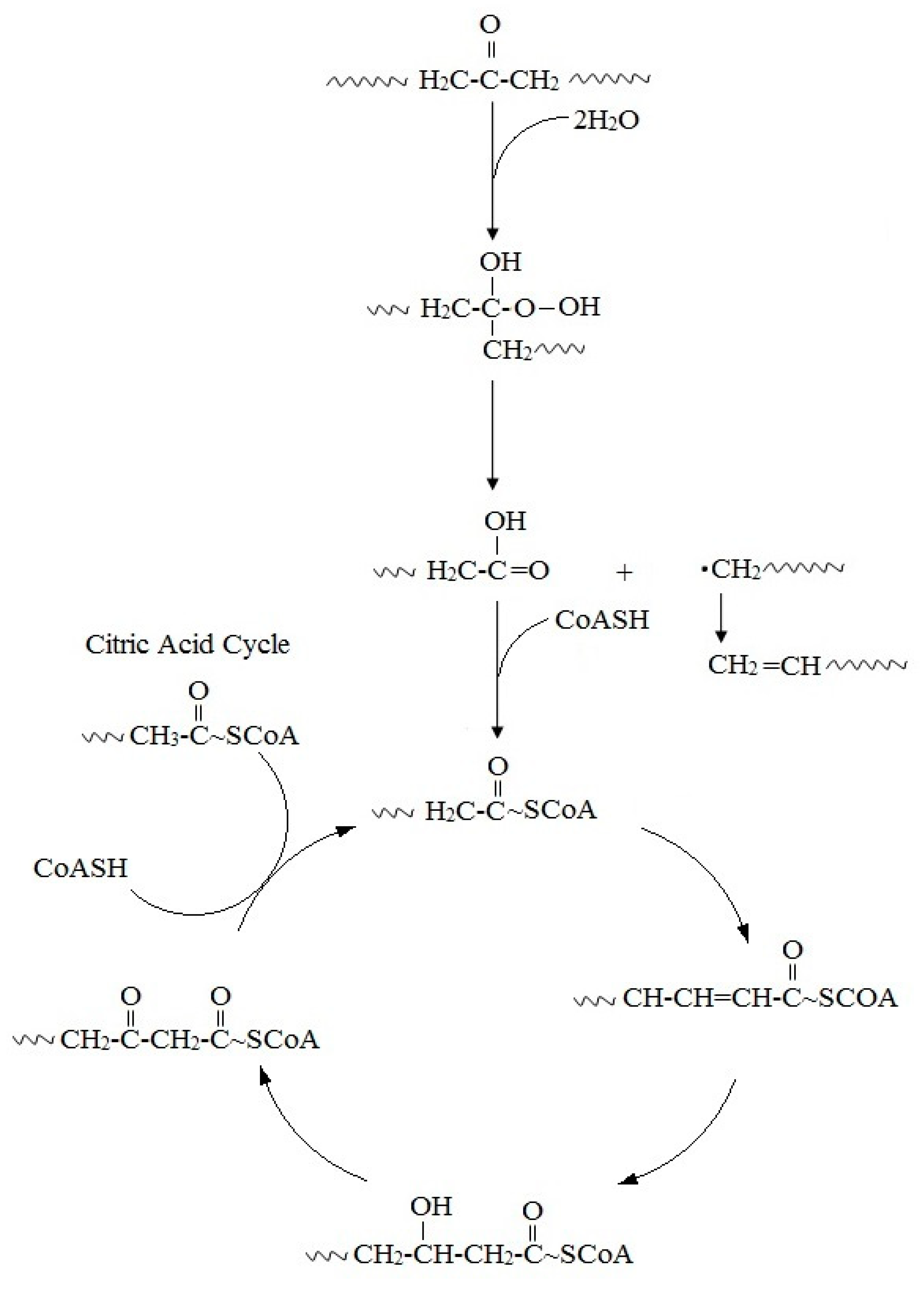 Polymers 12 00123 g002