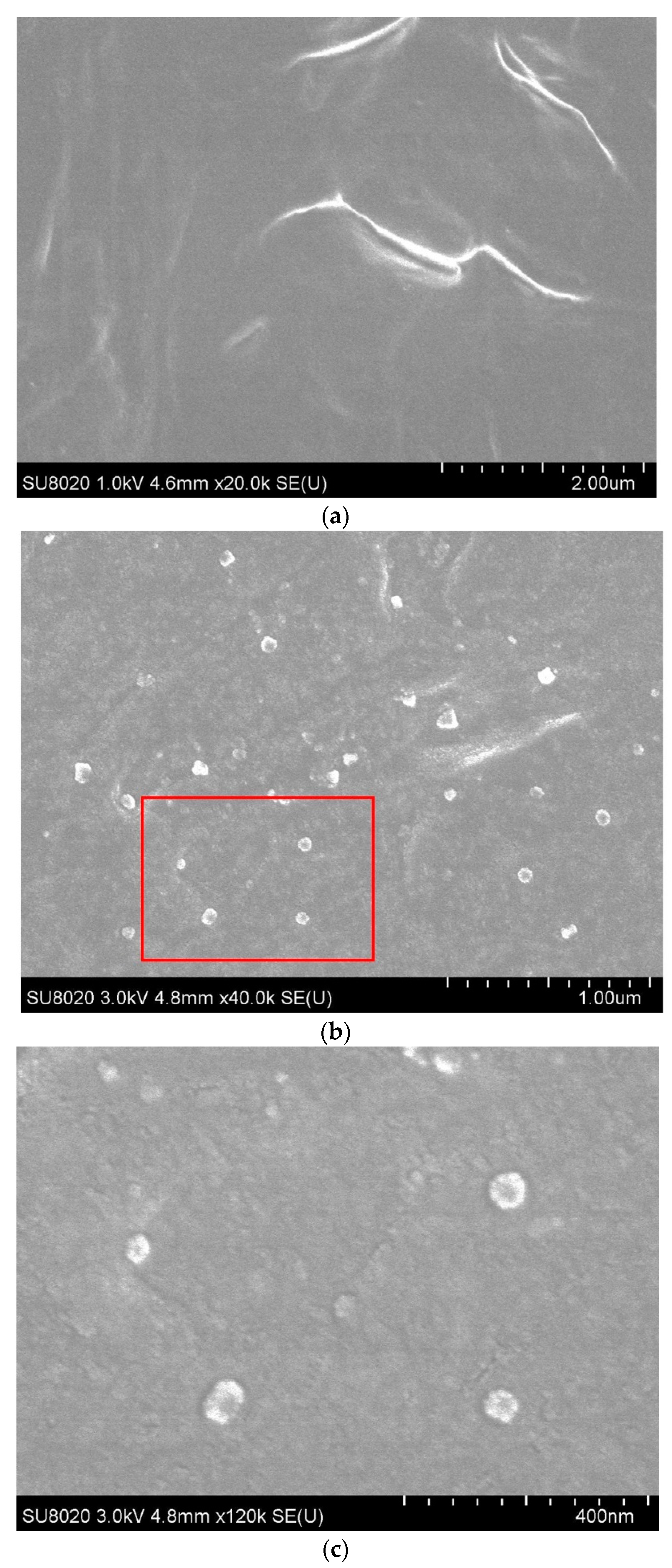 Polymers 12 00124 g005 Polymers 12 00124 g005