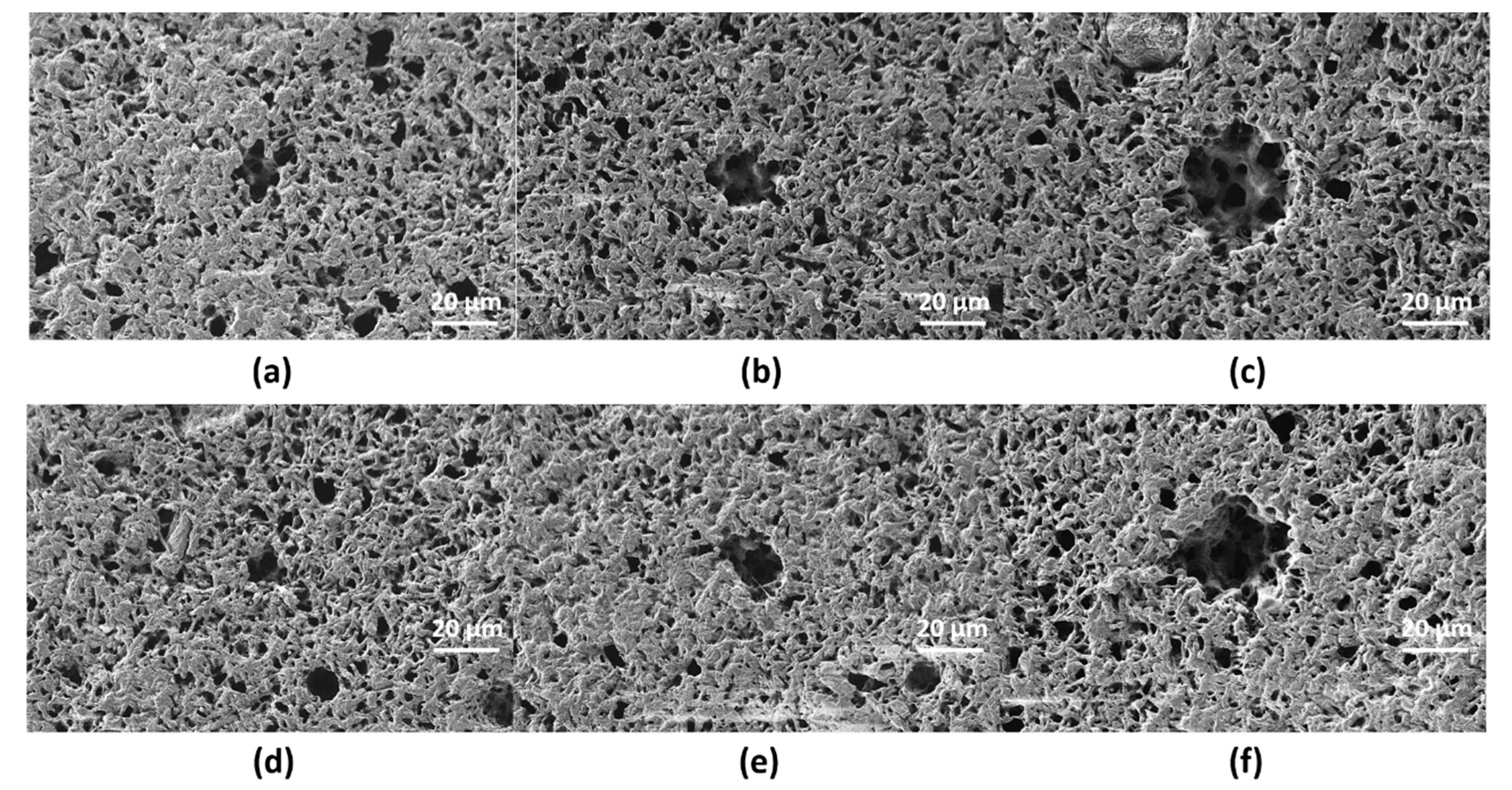 Polymers 12 00127 g009 Polymers 12 00127 g009