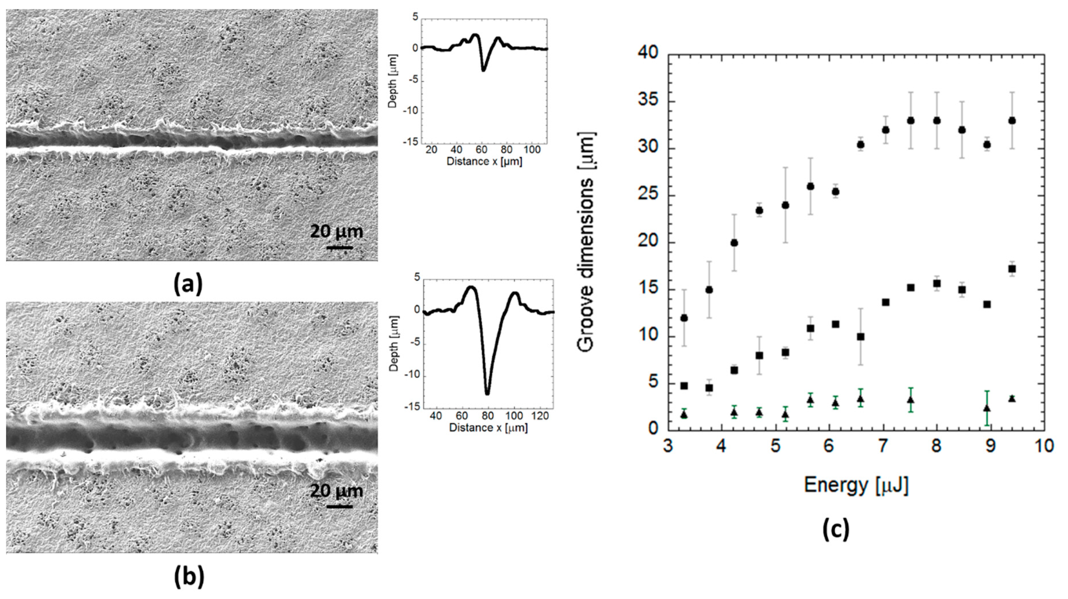 Polymers 12 00127 g012 Polymers 12 00127 g012