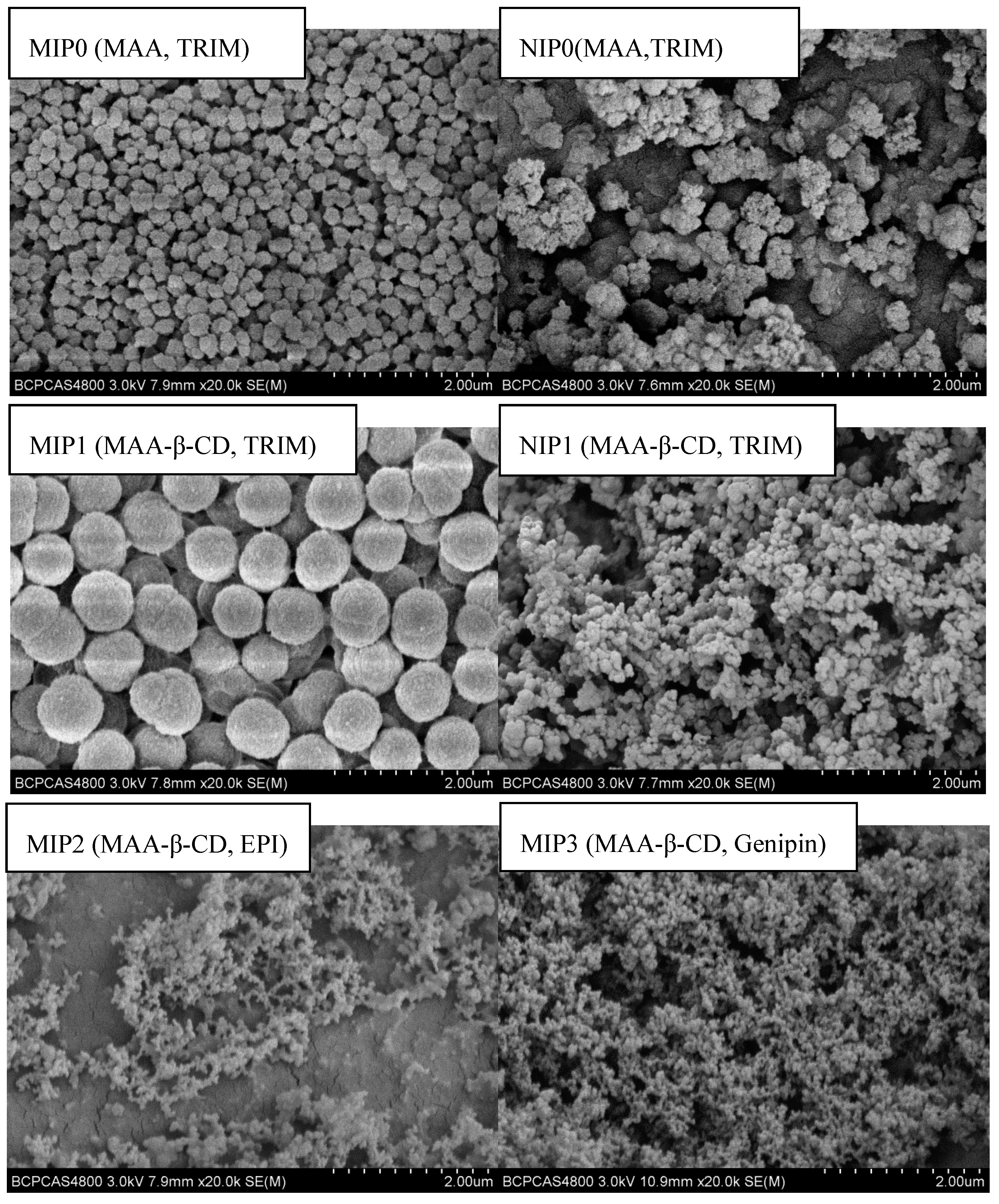 Polymers 12 00130 g003 Polymers 12 00130 g003