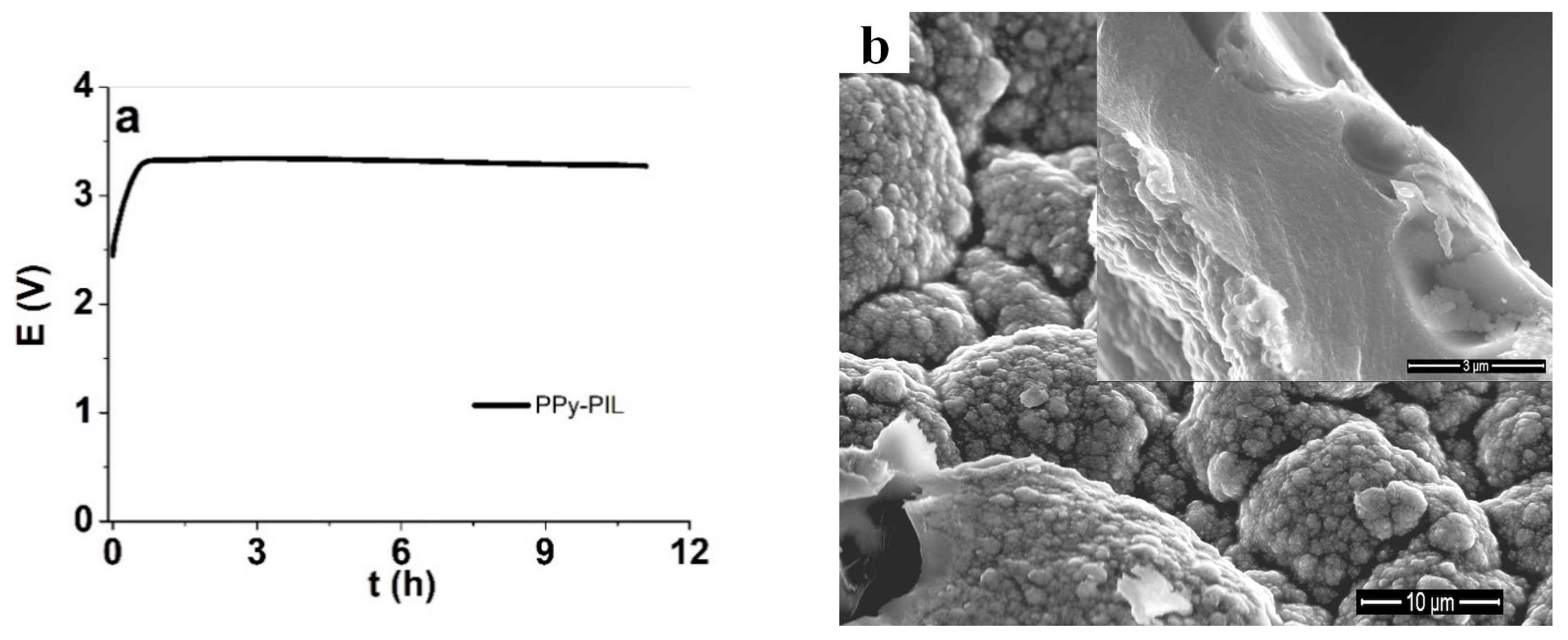 Polymers 12 00136 g001a