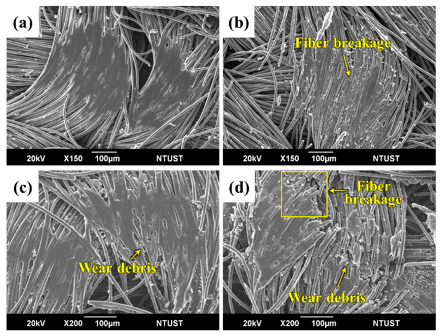 Polymers 12 00141 g009 Polymers 12 00141 g009