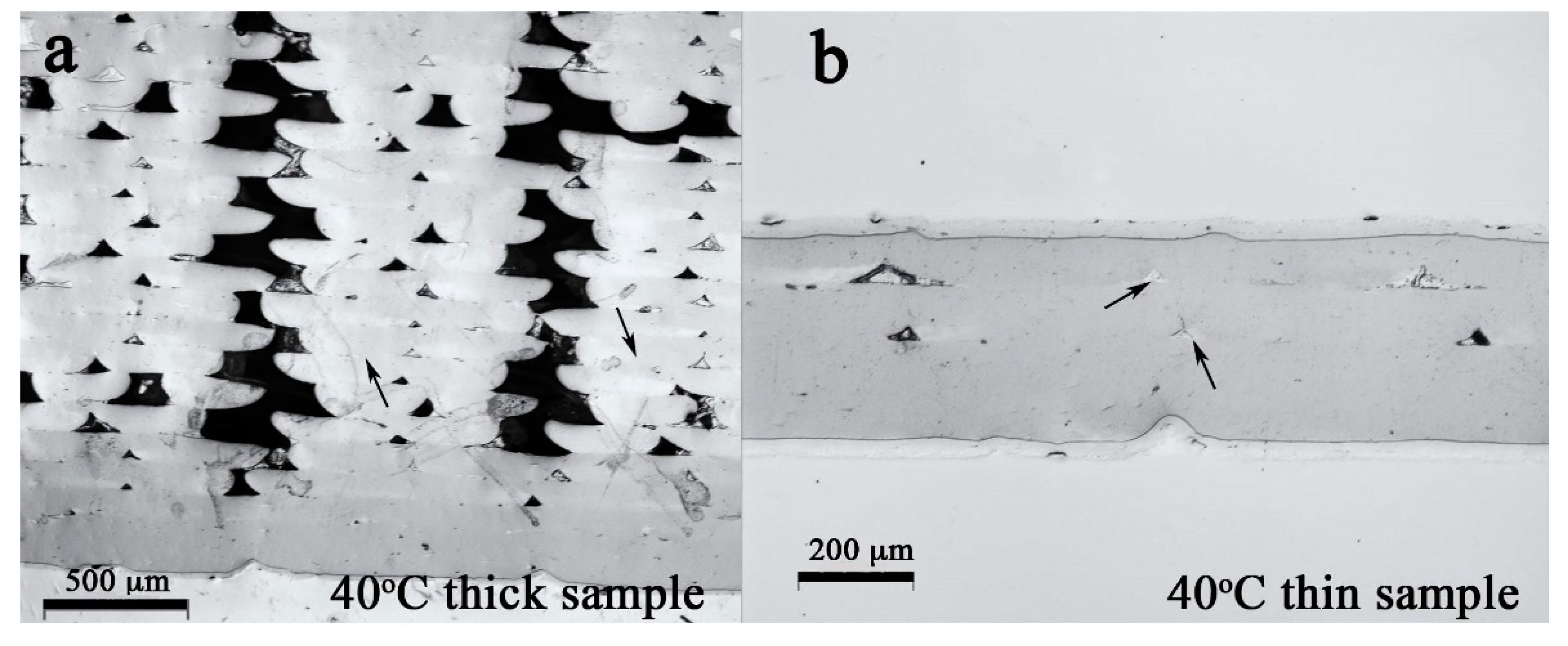 Polymers 12 00142 g001