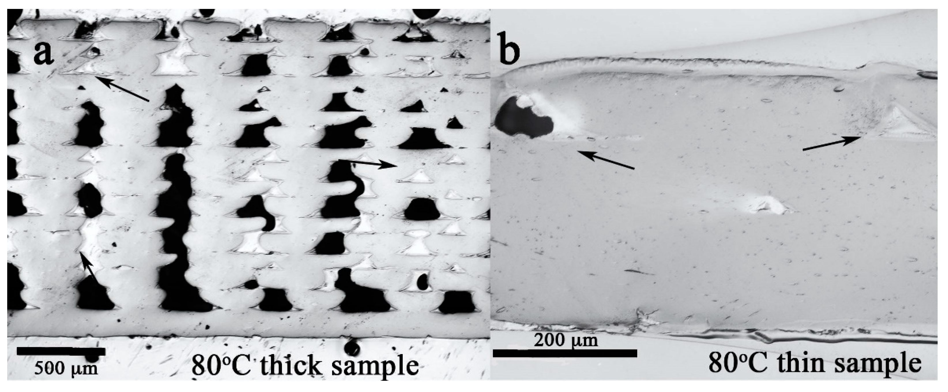 Polymers 12 00142 g002