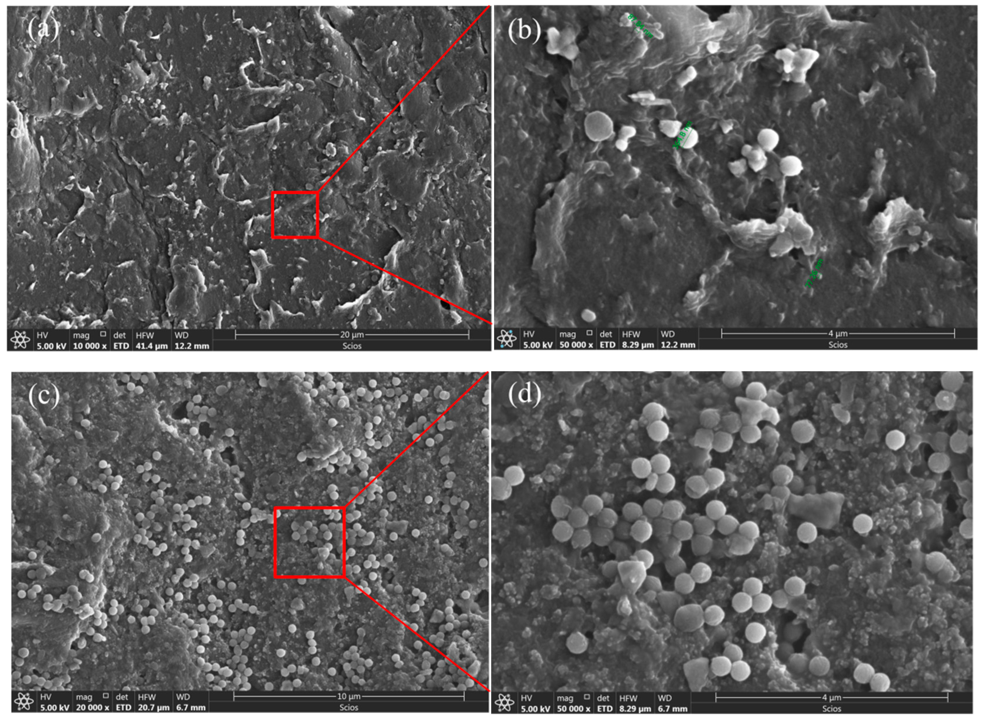 Polymers 12 00146 g008