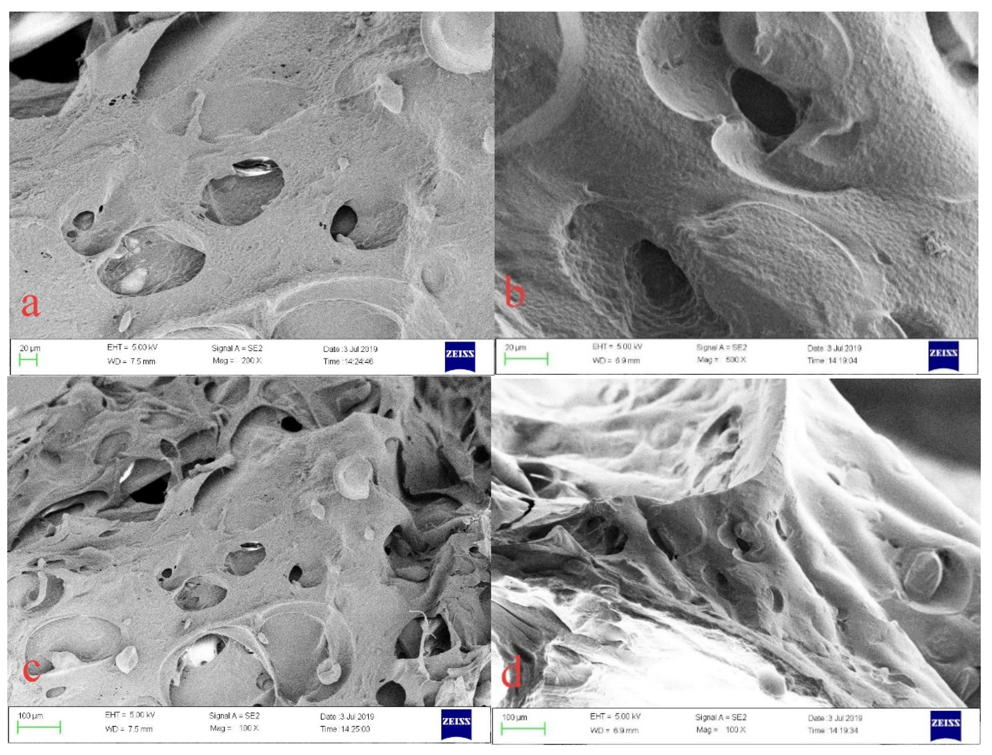Polymers 12 00151 g008