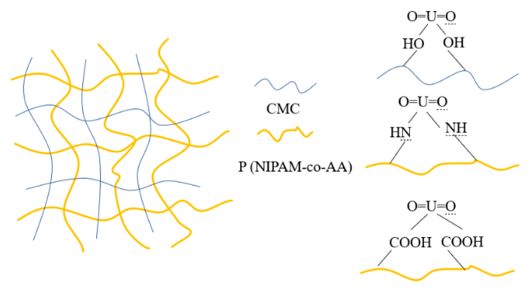 Polymers 12 00151 g013