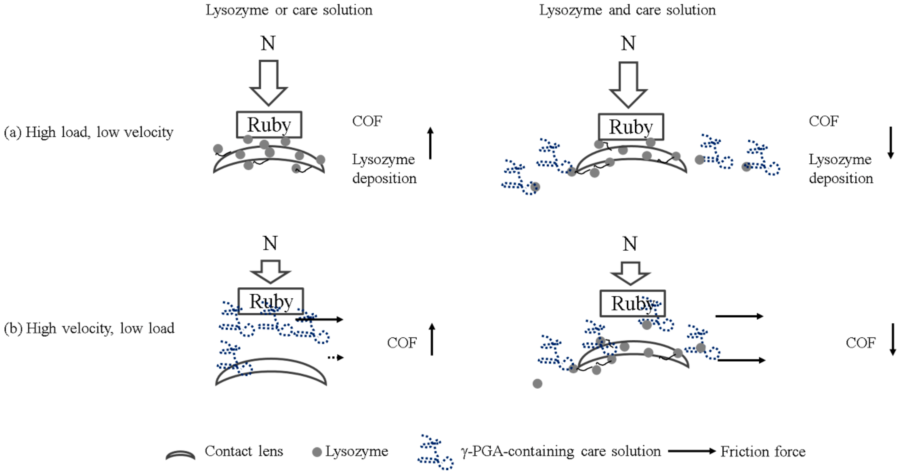 Polymers 12 00156 g005