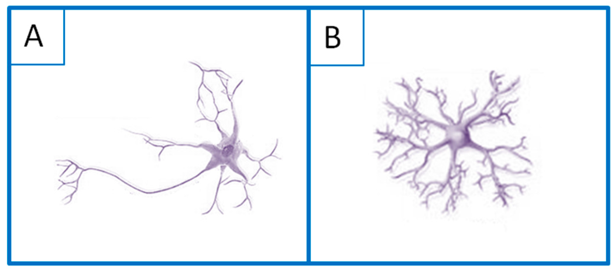 Polymers 12 00161 g003