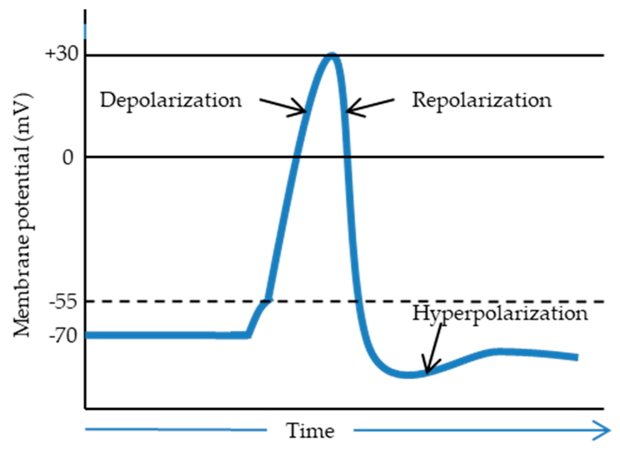 Polymers 12 00161 g004