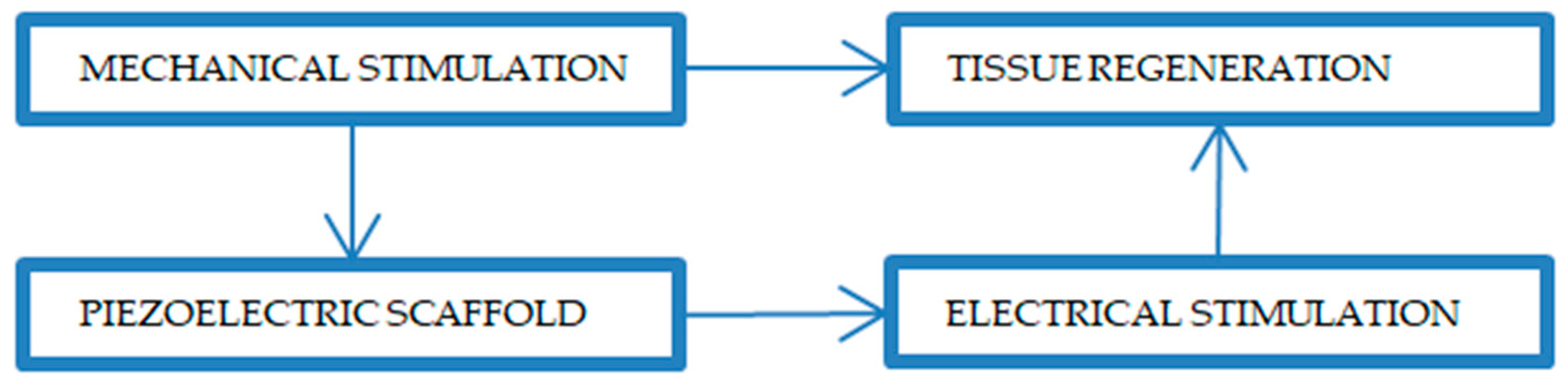 Polymers 12 00161 g005