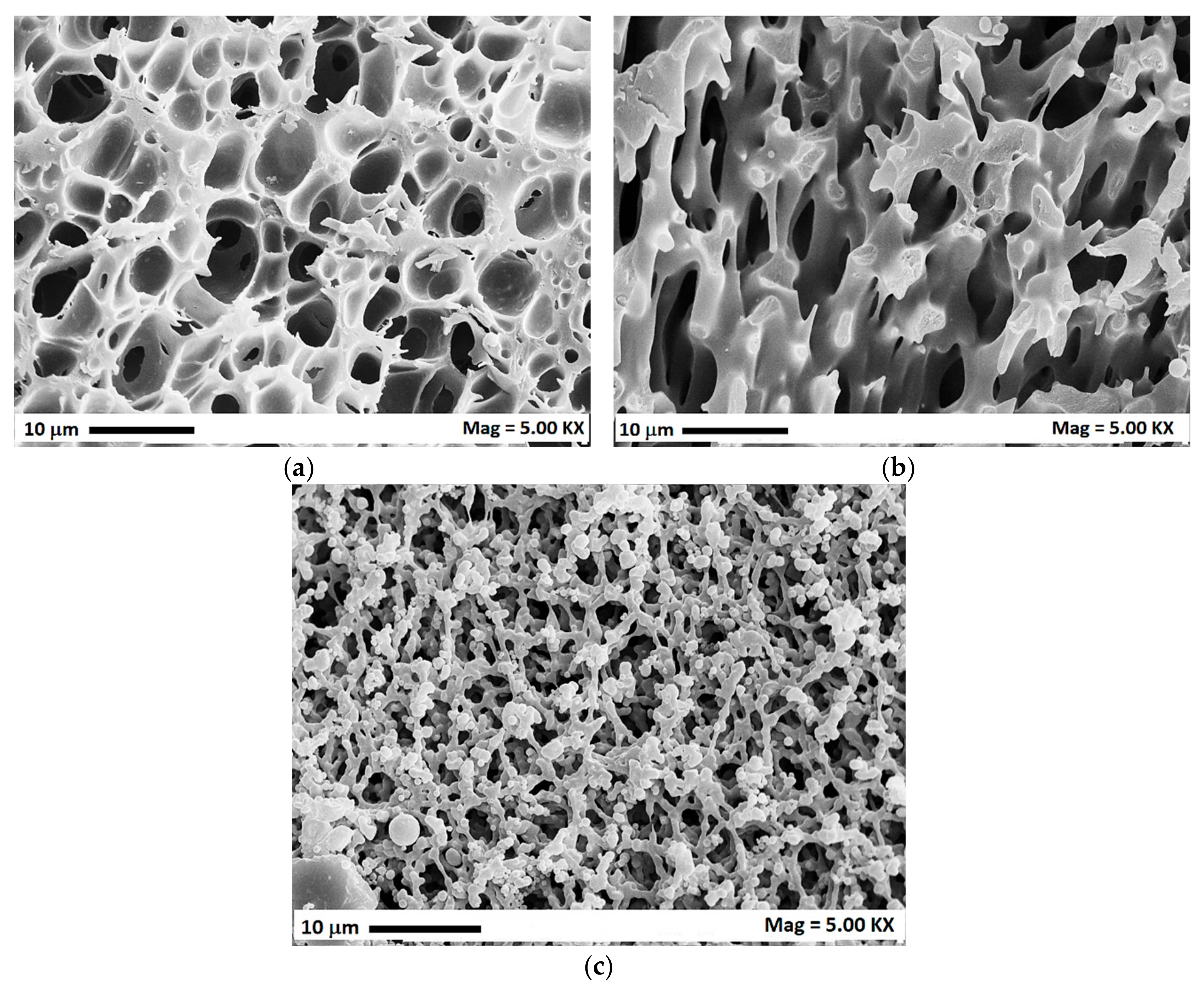 Polymers 12 00162 g006 Polymers 12 00162 g006