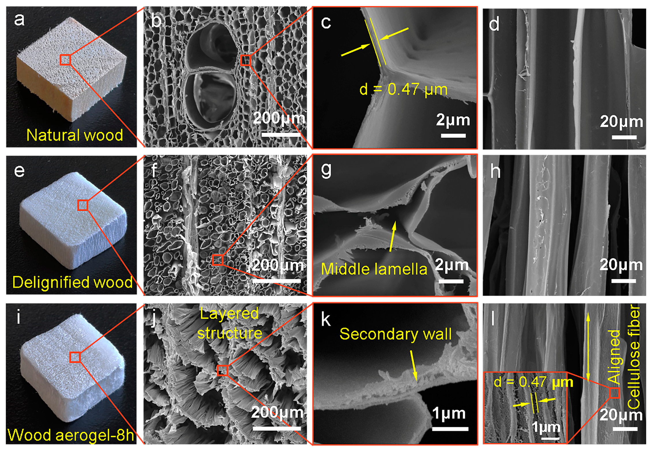 Polymers 12 00165 g002 Polymers 12 00165 g002