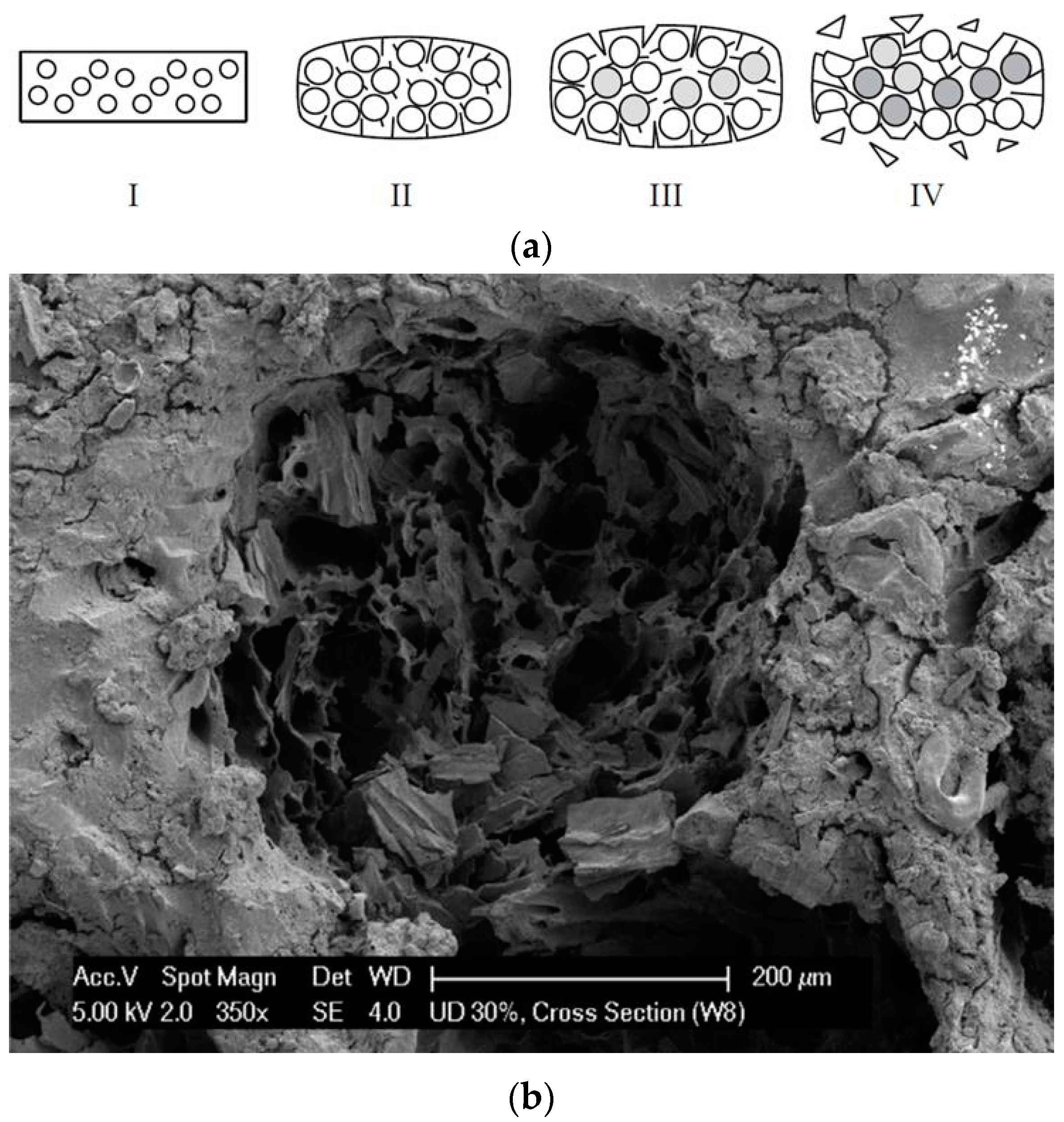 Polymers 12 00166 g002 Polymers 12 00166 g002