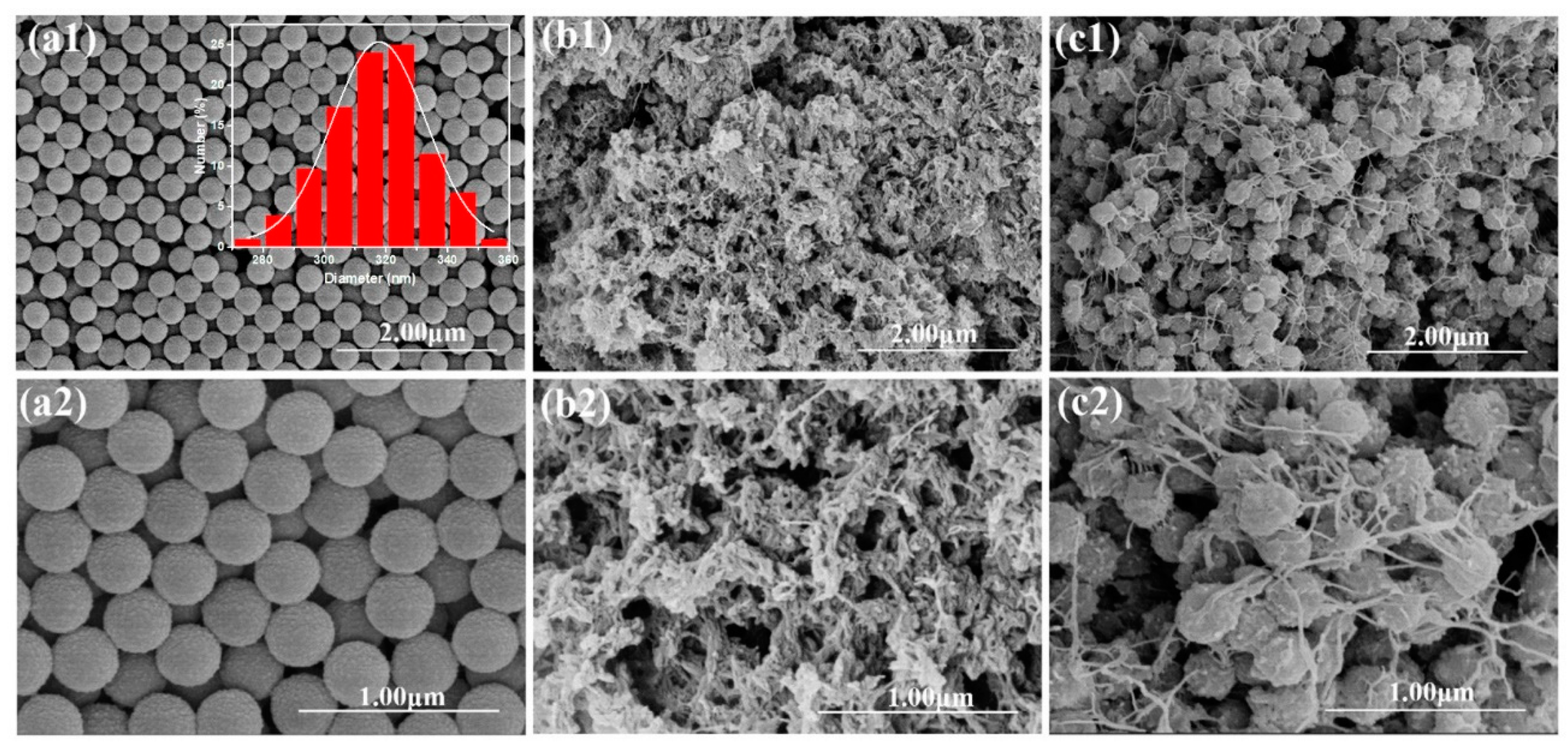 Polymers 12 00167 g003