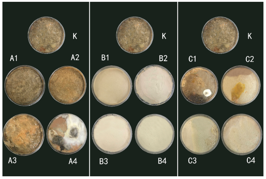 Polymers 12 00169 g001 Polymers 12 00169 g001