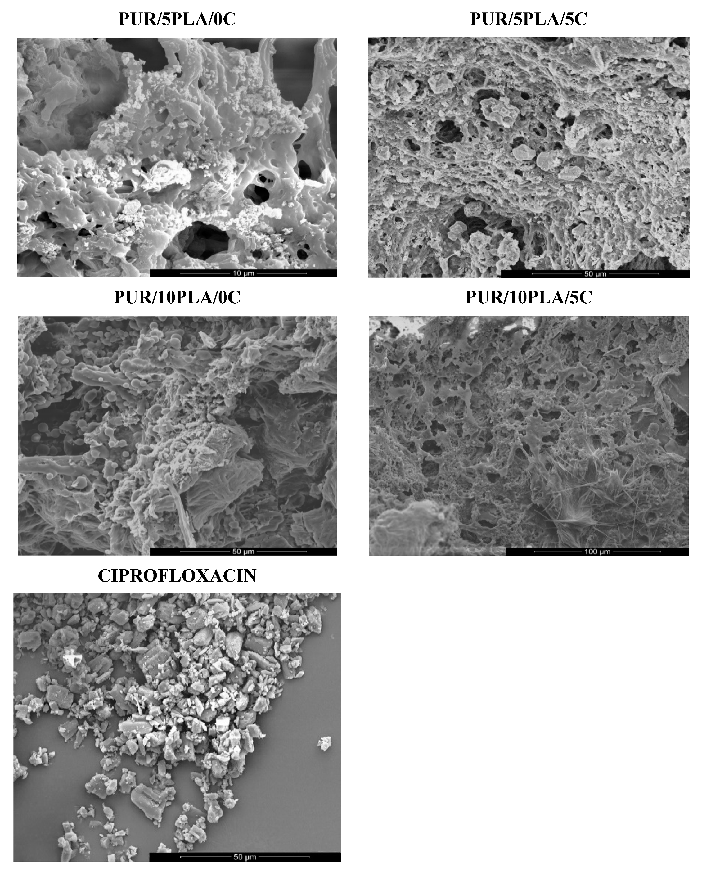 Polymers 12 00171 g003
