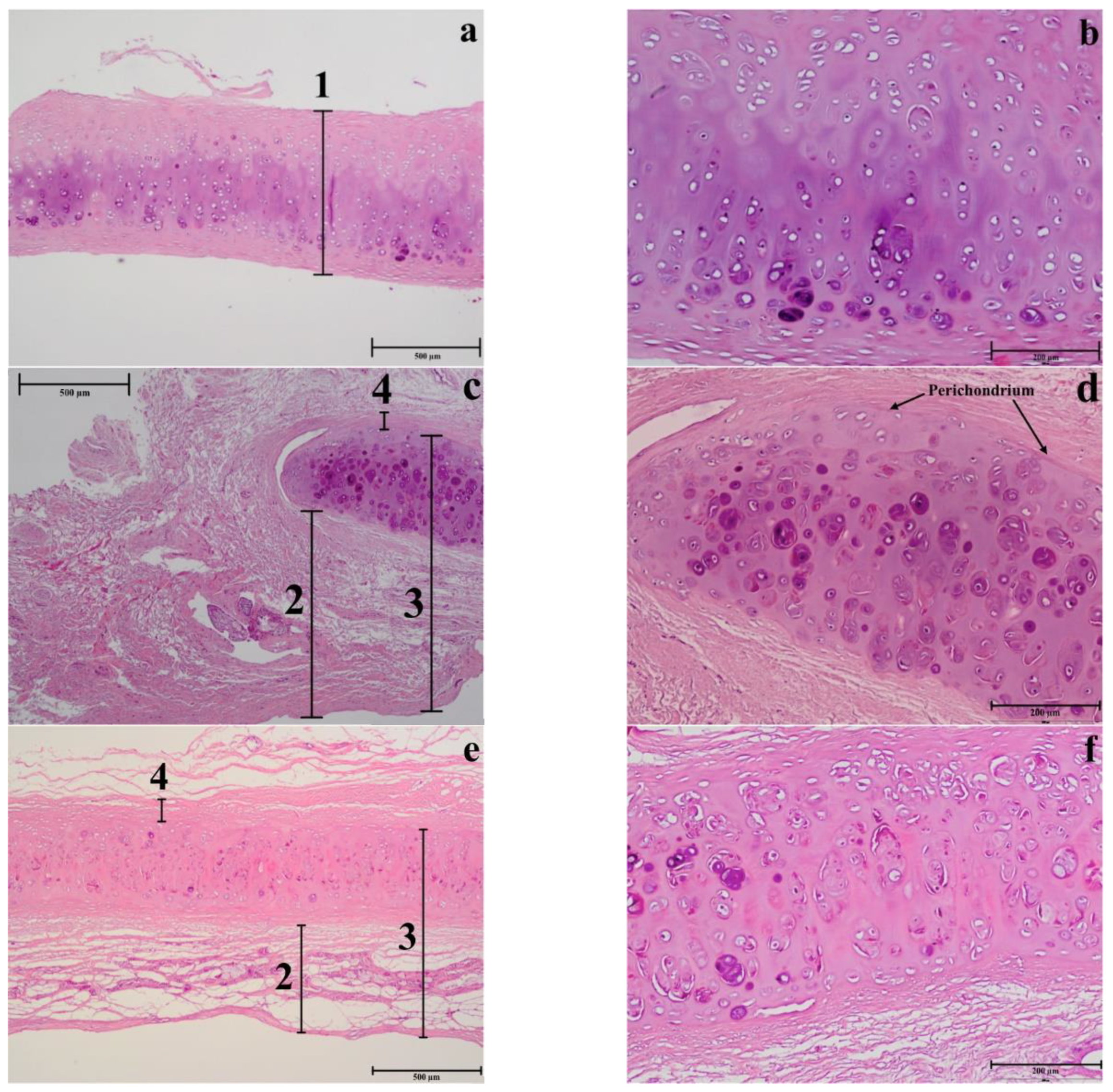 Polymers 12 00177 g011