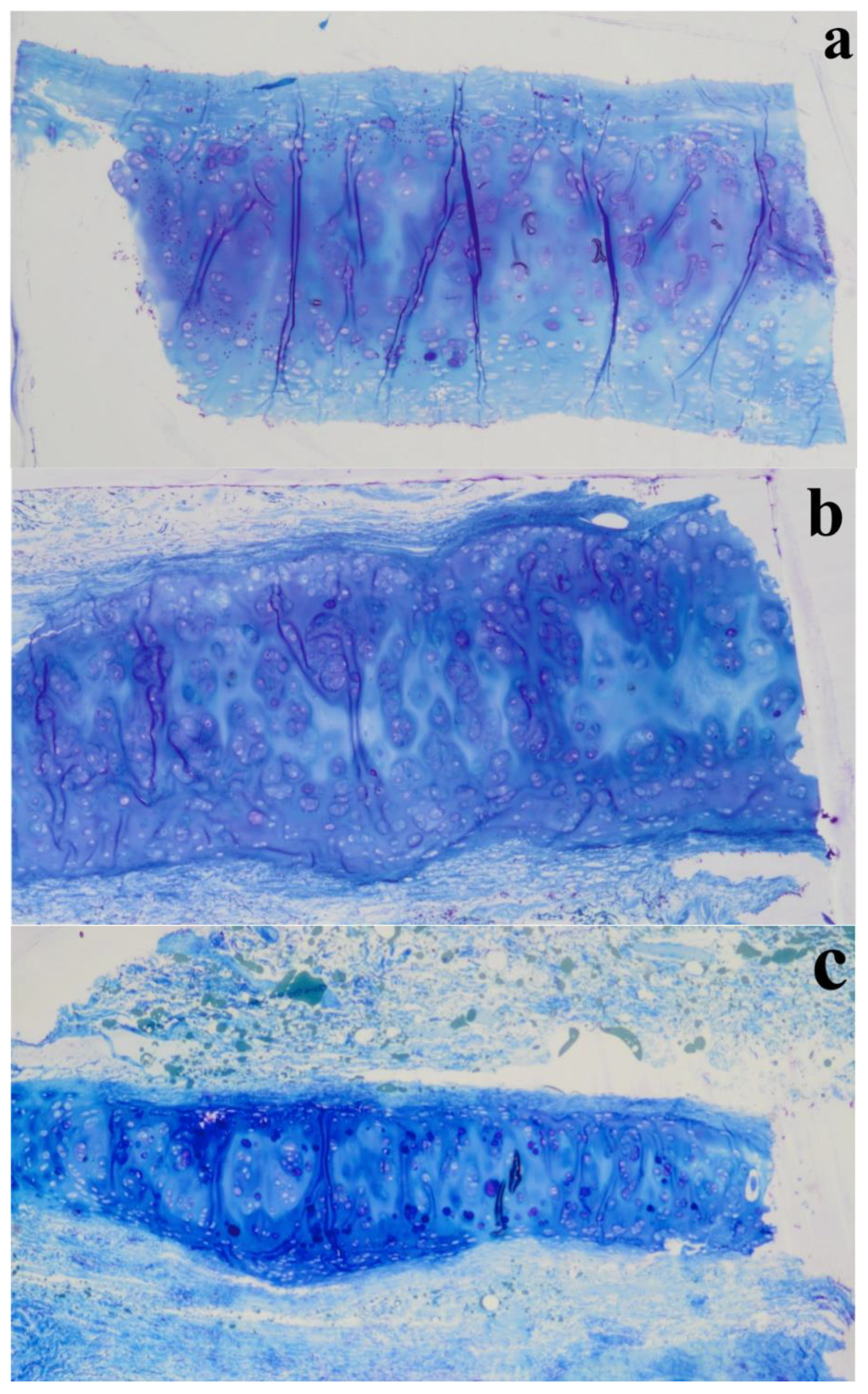 Polymers 12 00177 g013