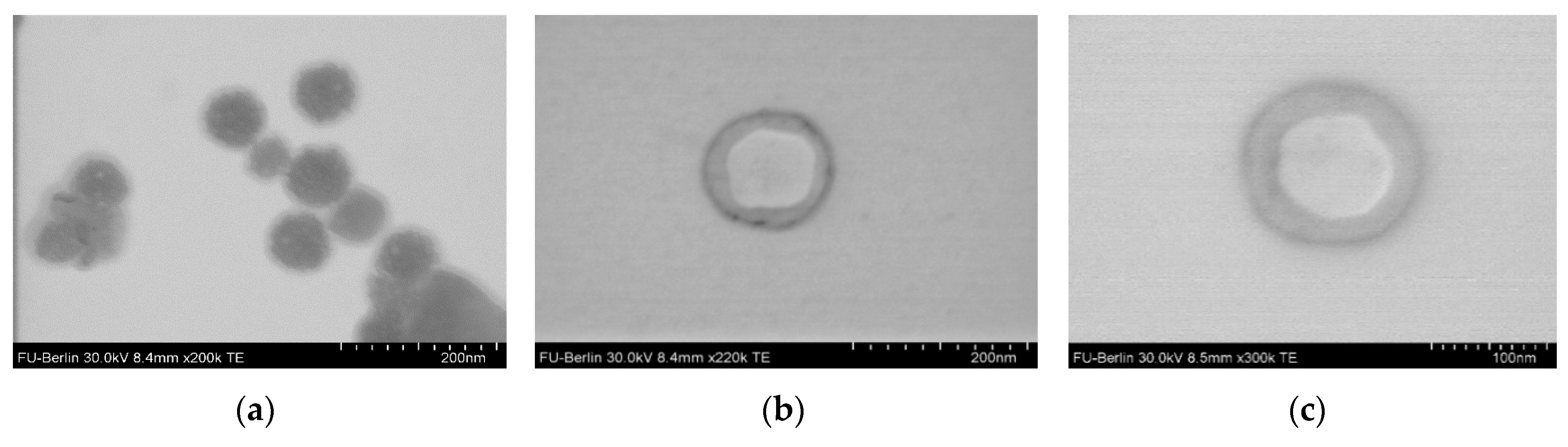 Polymers 12 00183 g008
