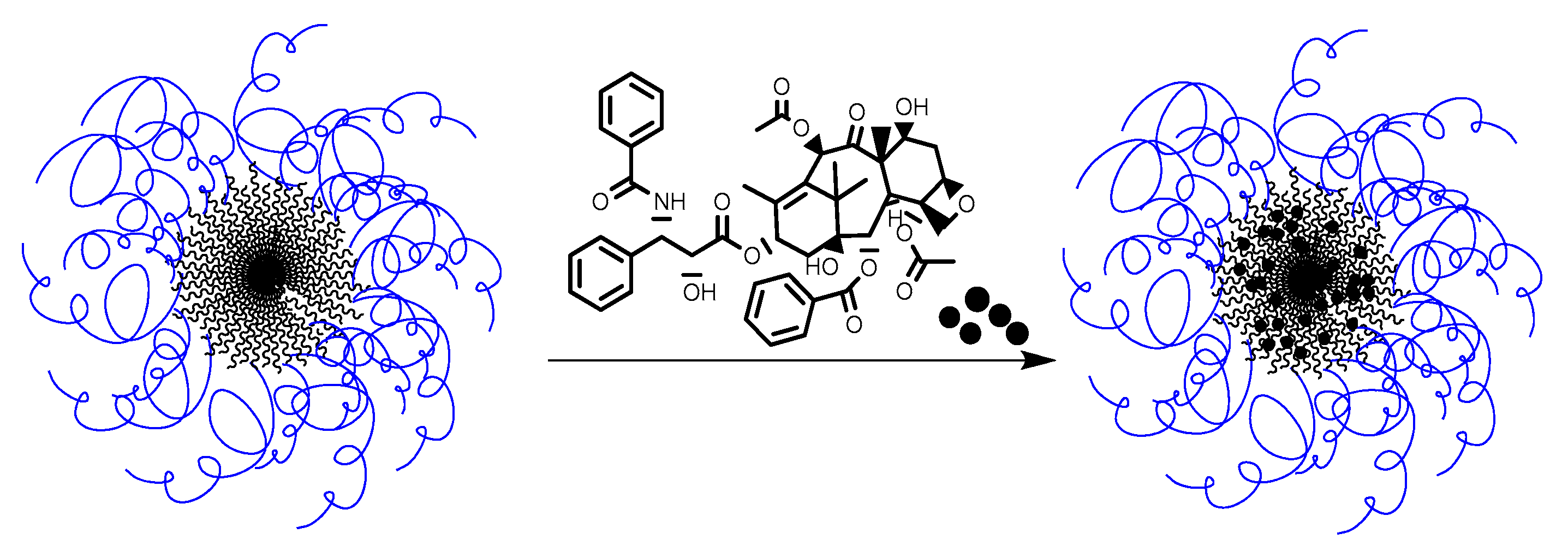 Polymers 12 00183 g013