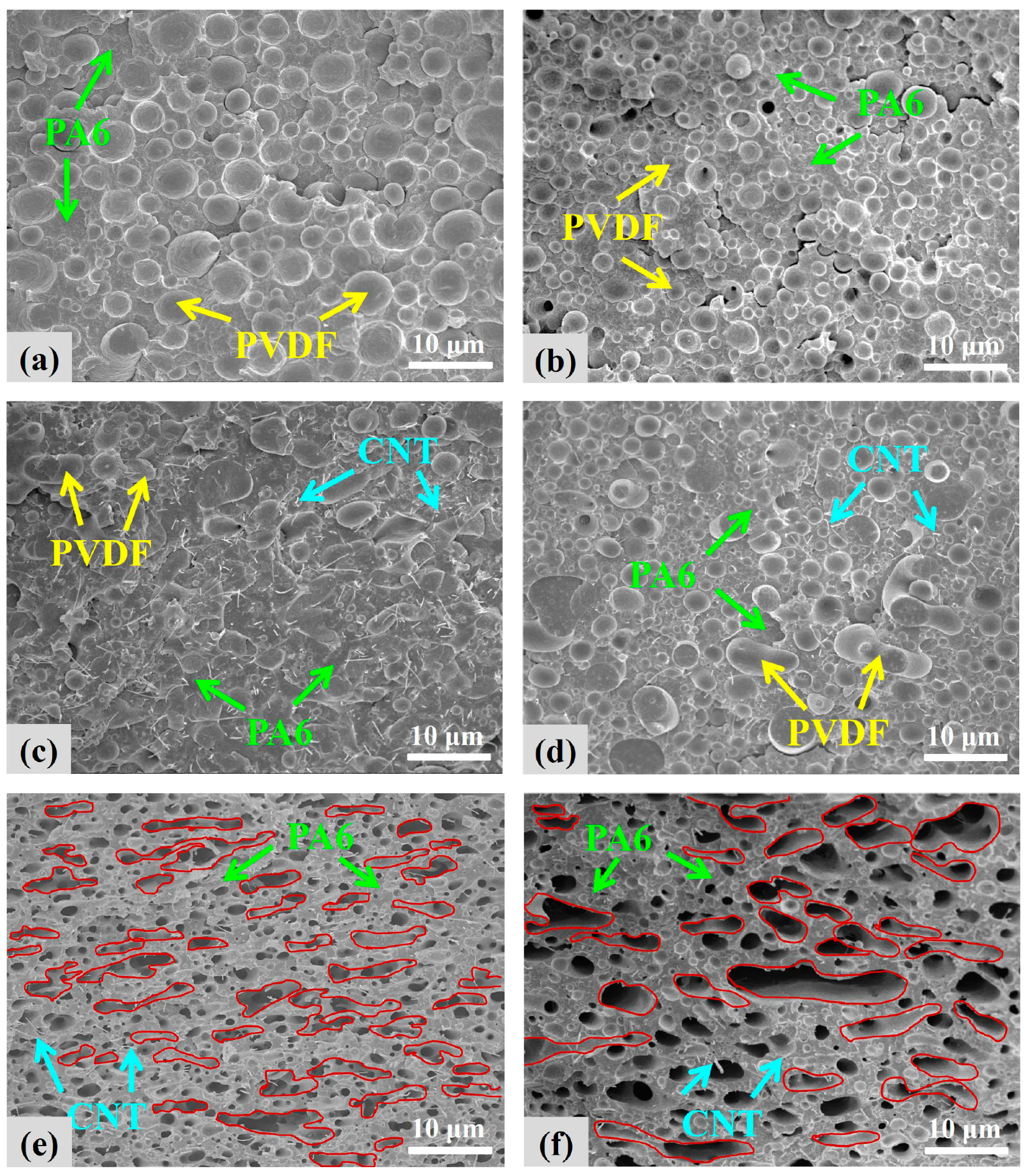 Polymers 12 00184 g001 Polymers 12 00184 g001