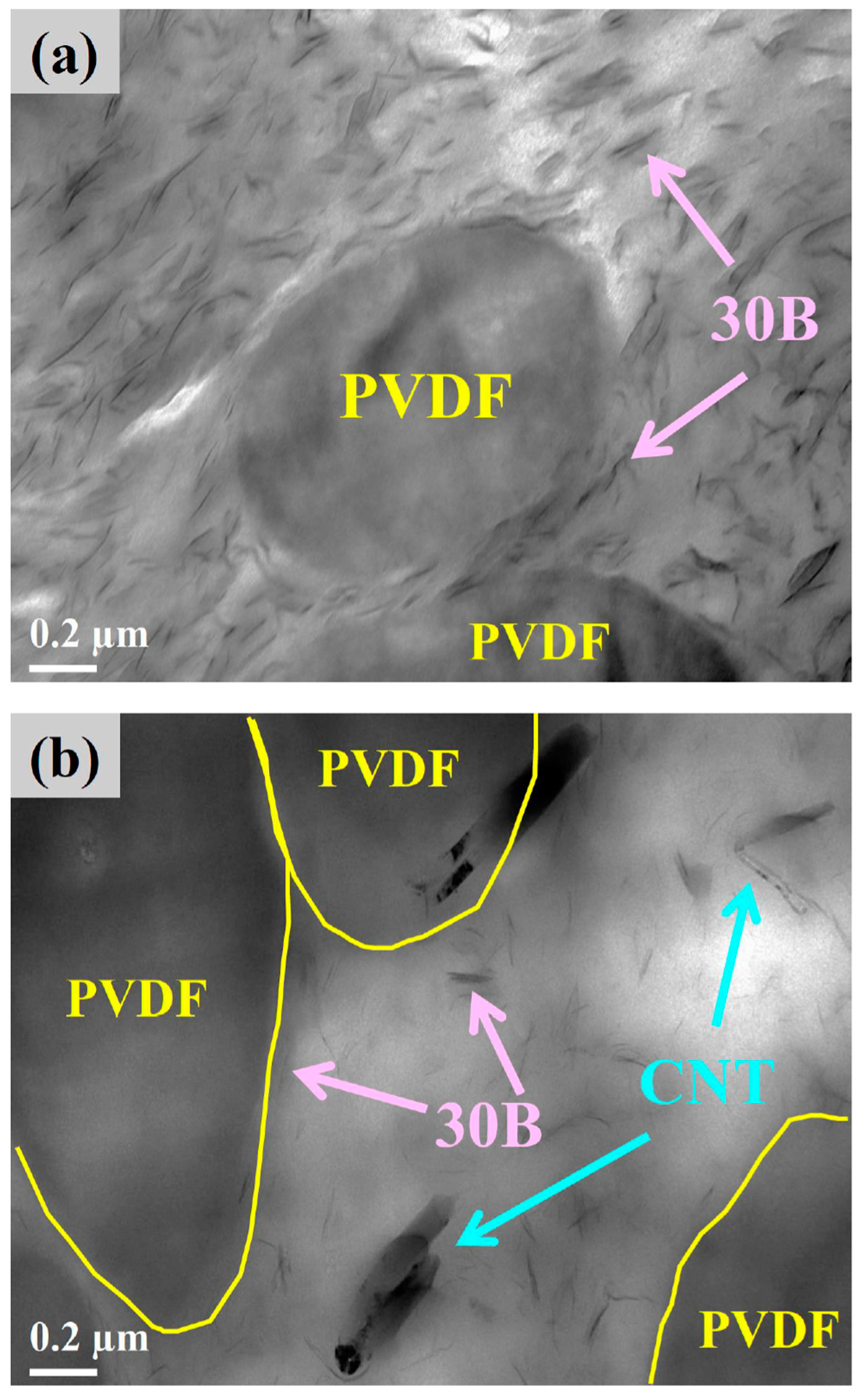 Polymers 12 00184 g002 Polymers 12 00184 g002