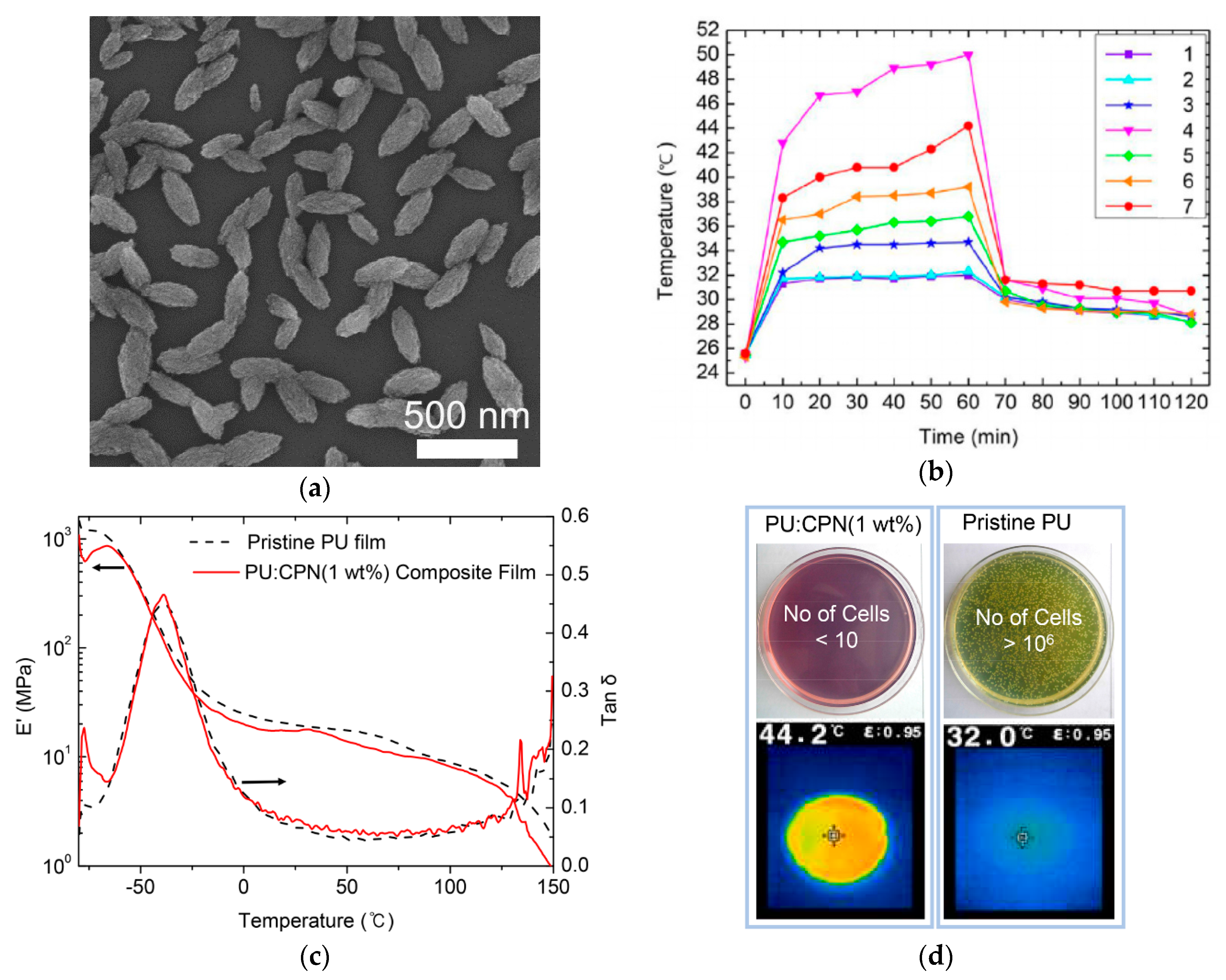 Polymers 12 00189 g006