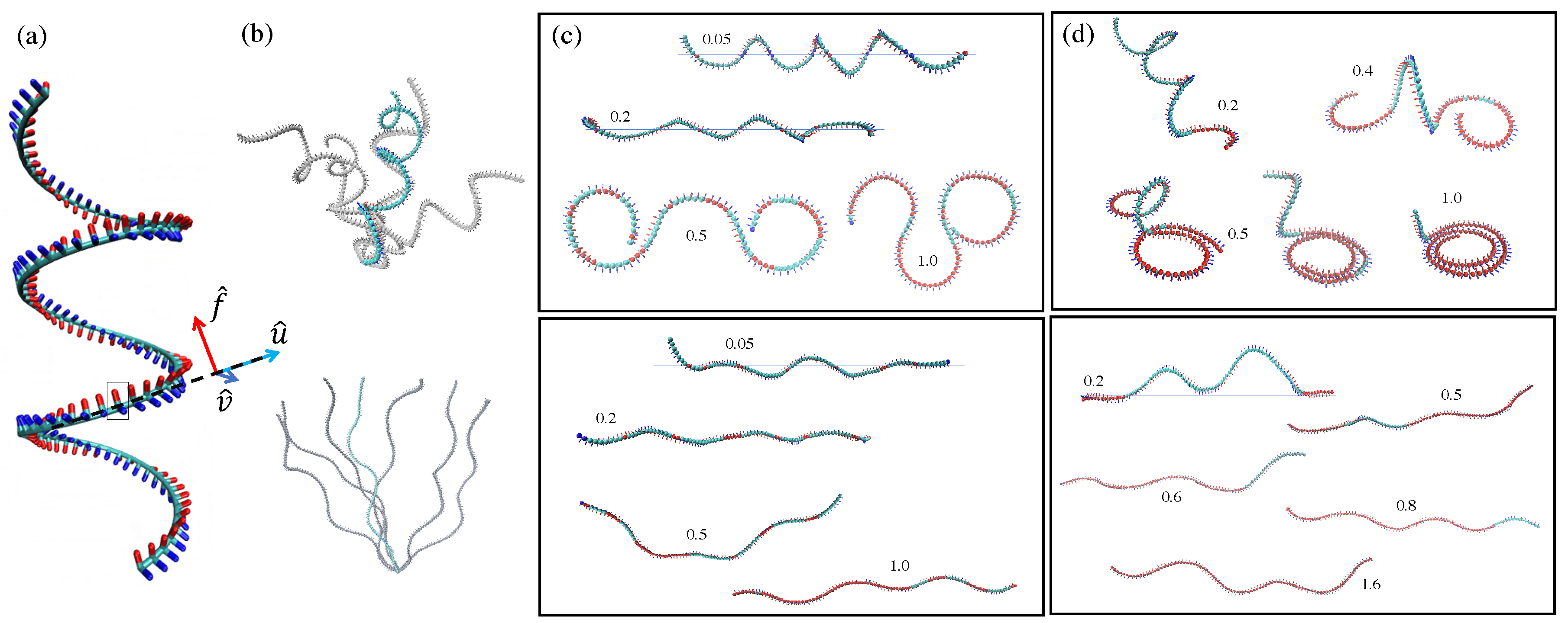 Polymers 12 00192 g001