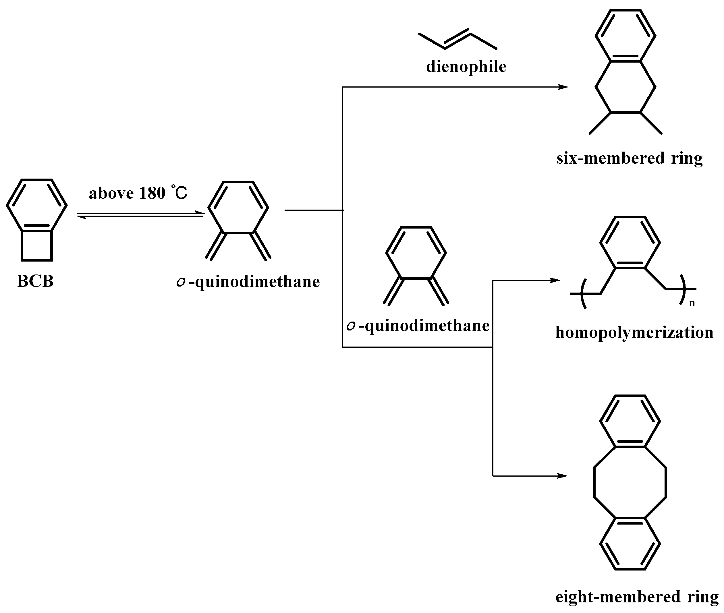 Polymers 12 00201 sch001