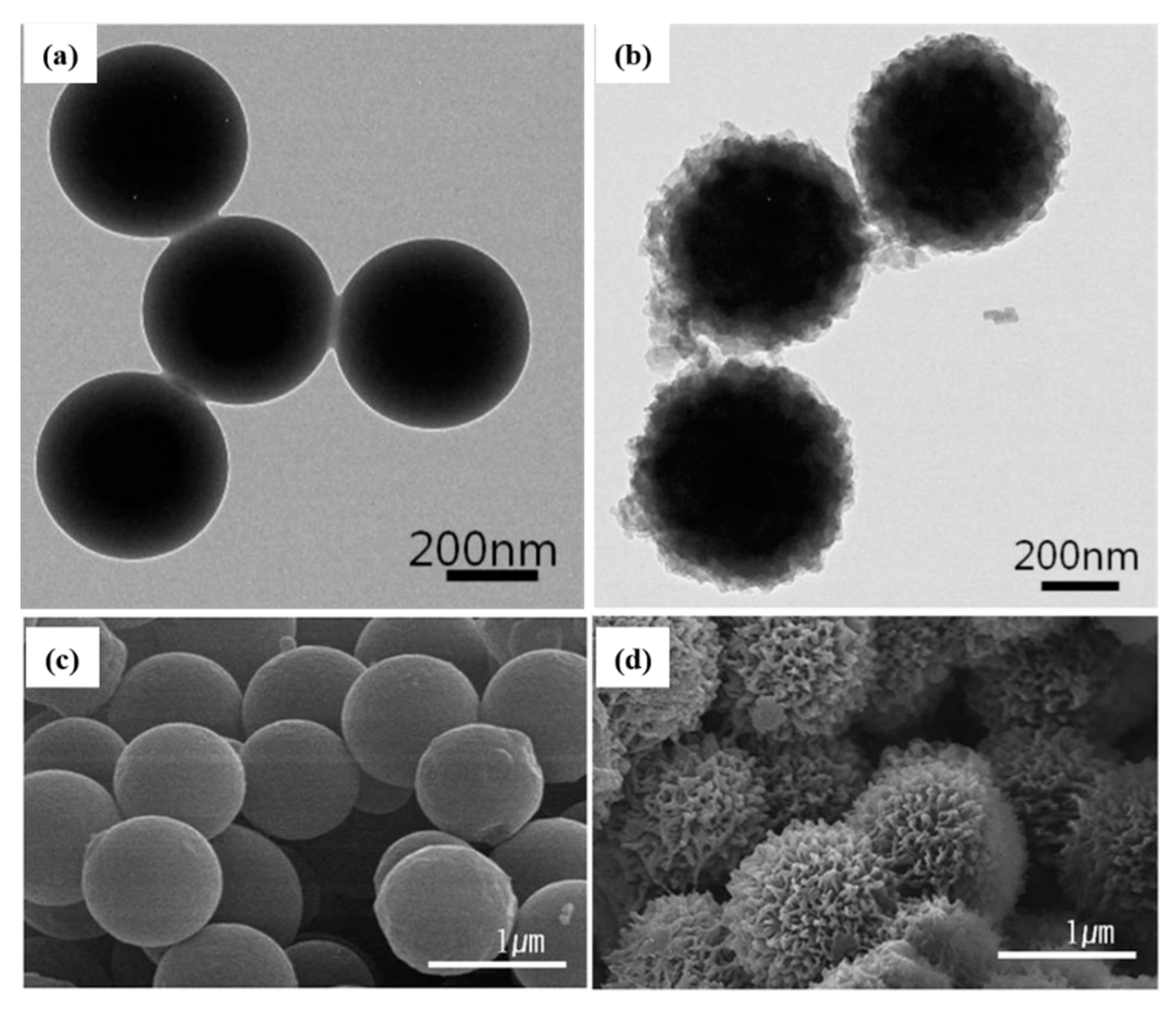 Polymers 12 00204 g001