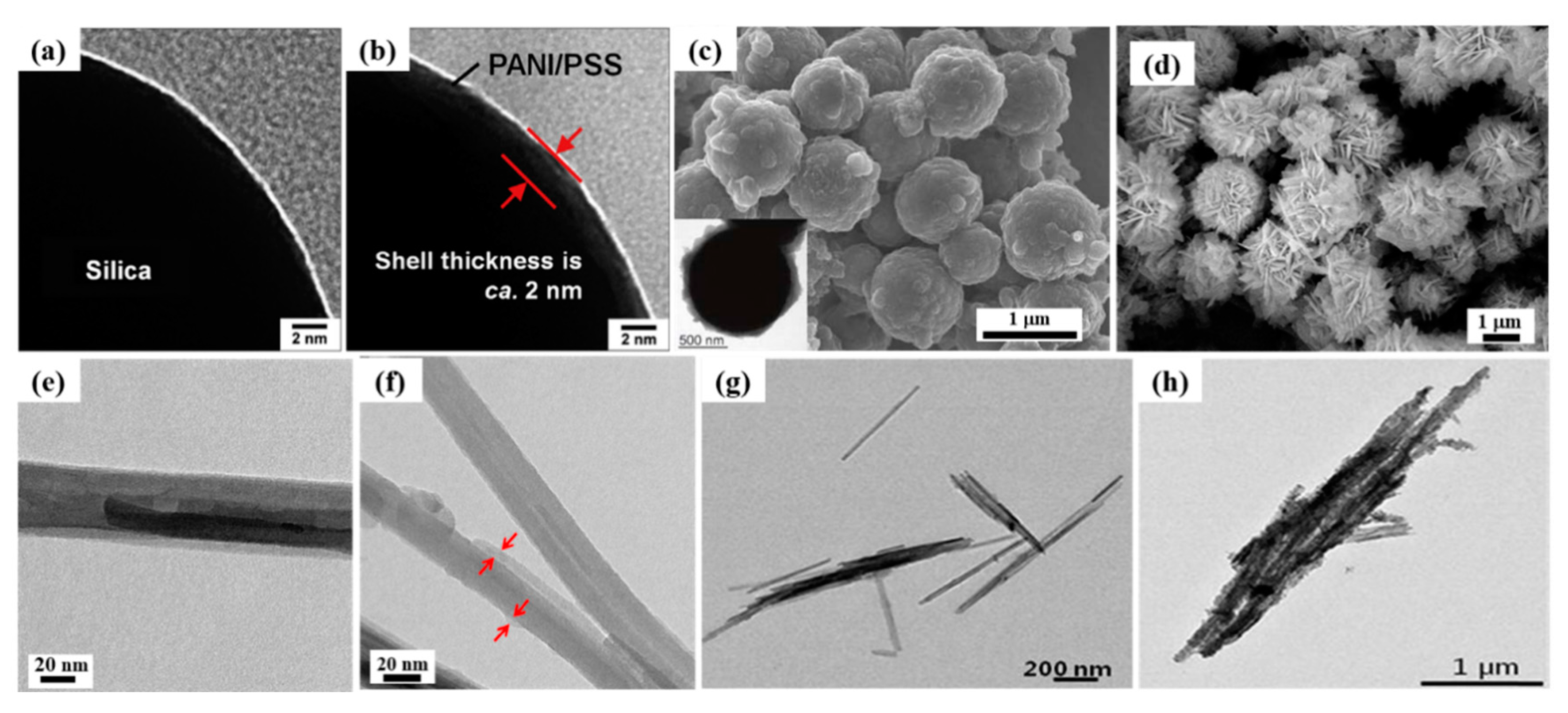 Polymers 12 00204 g002