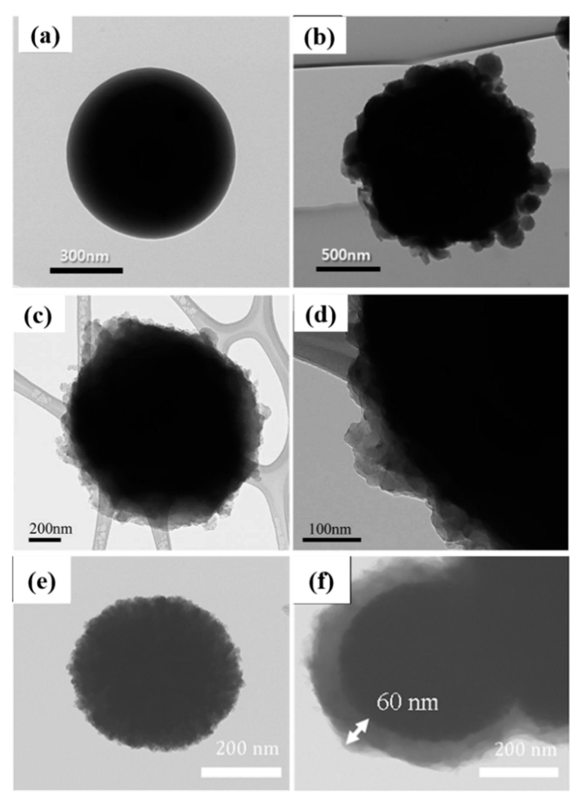 Polymers 12 00204 g003
