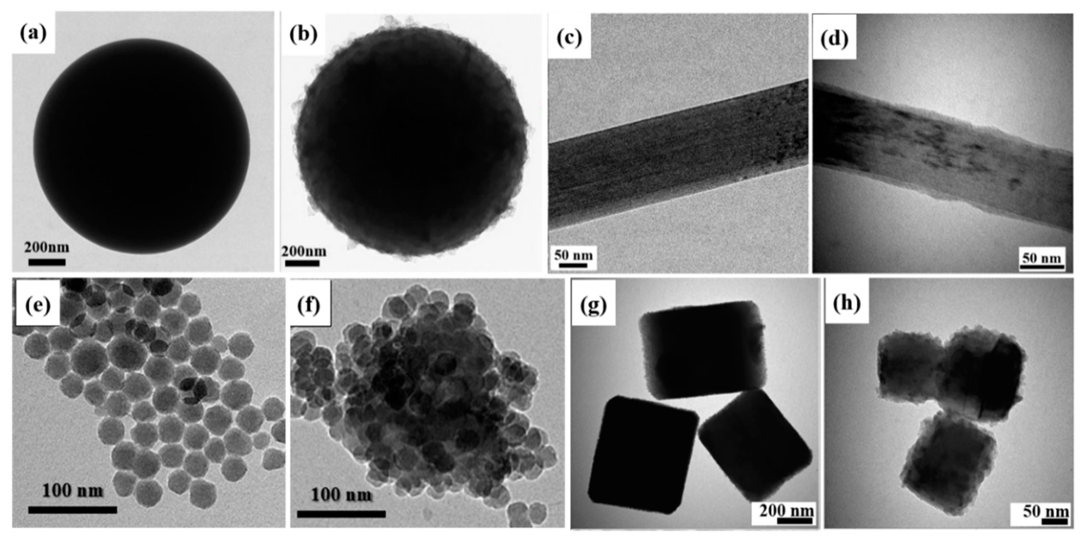Polymers 12 00204 g004