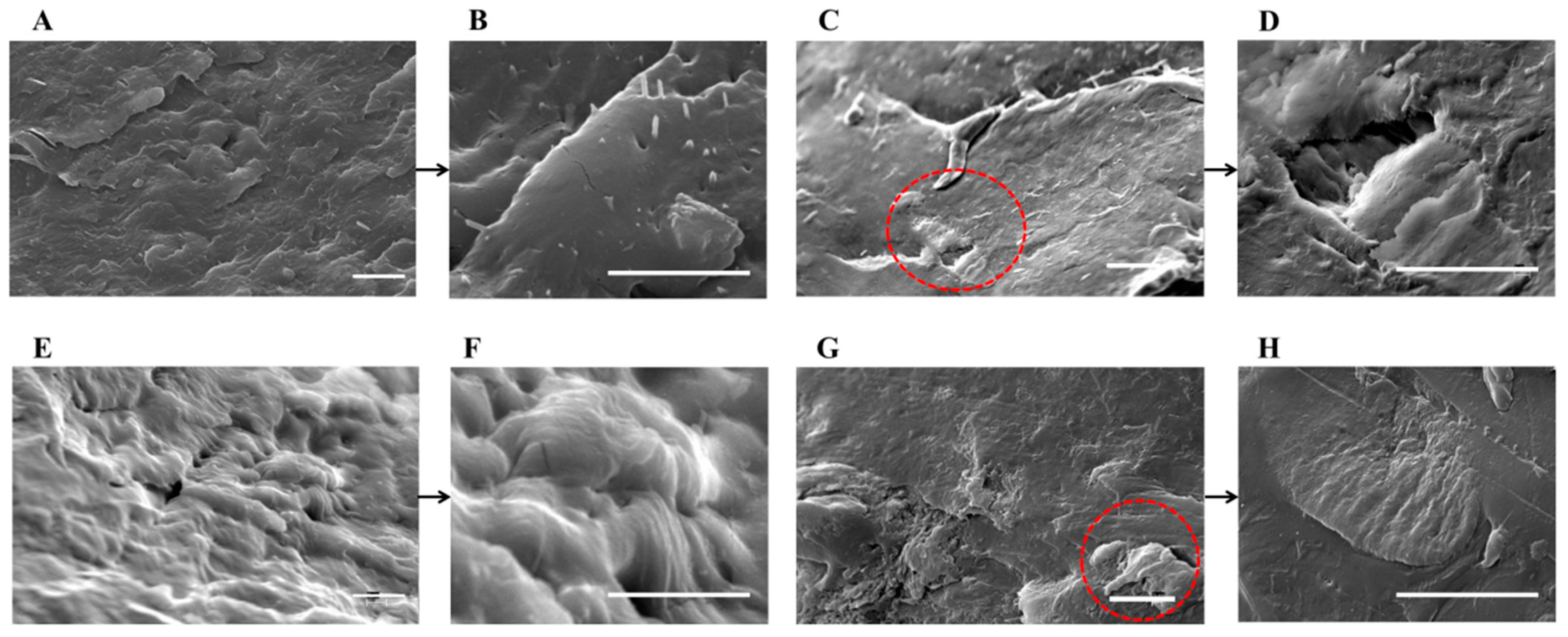 Polymers 12 00211 g002