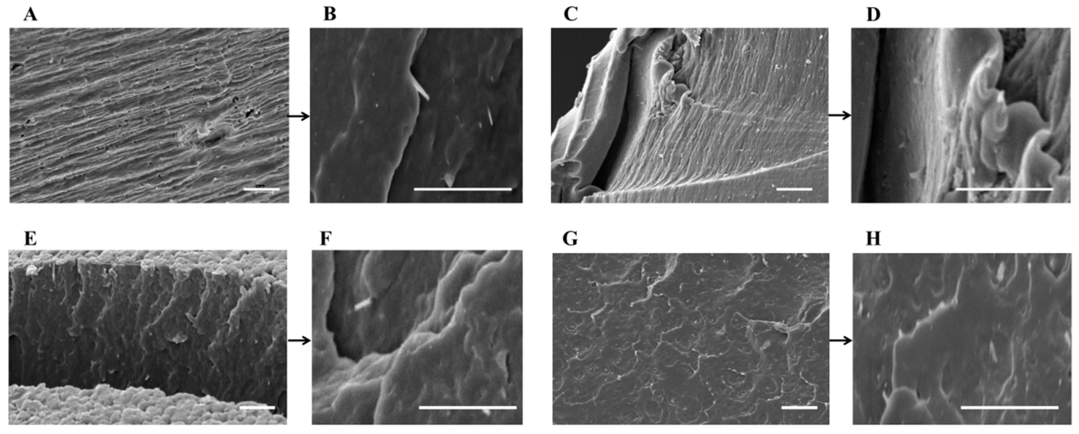 Polymers 12 00211 g003