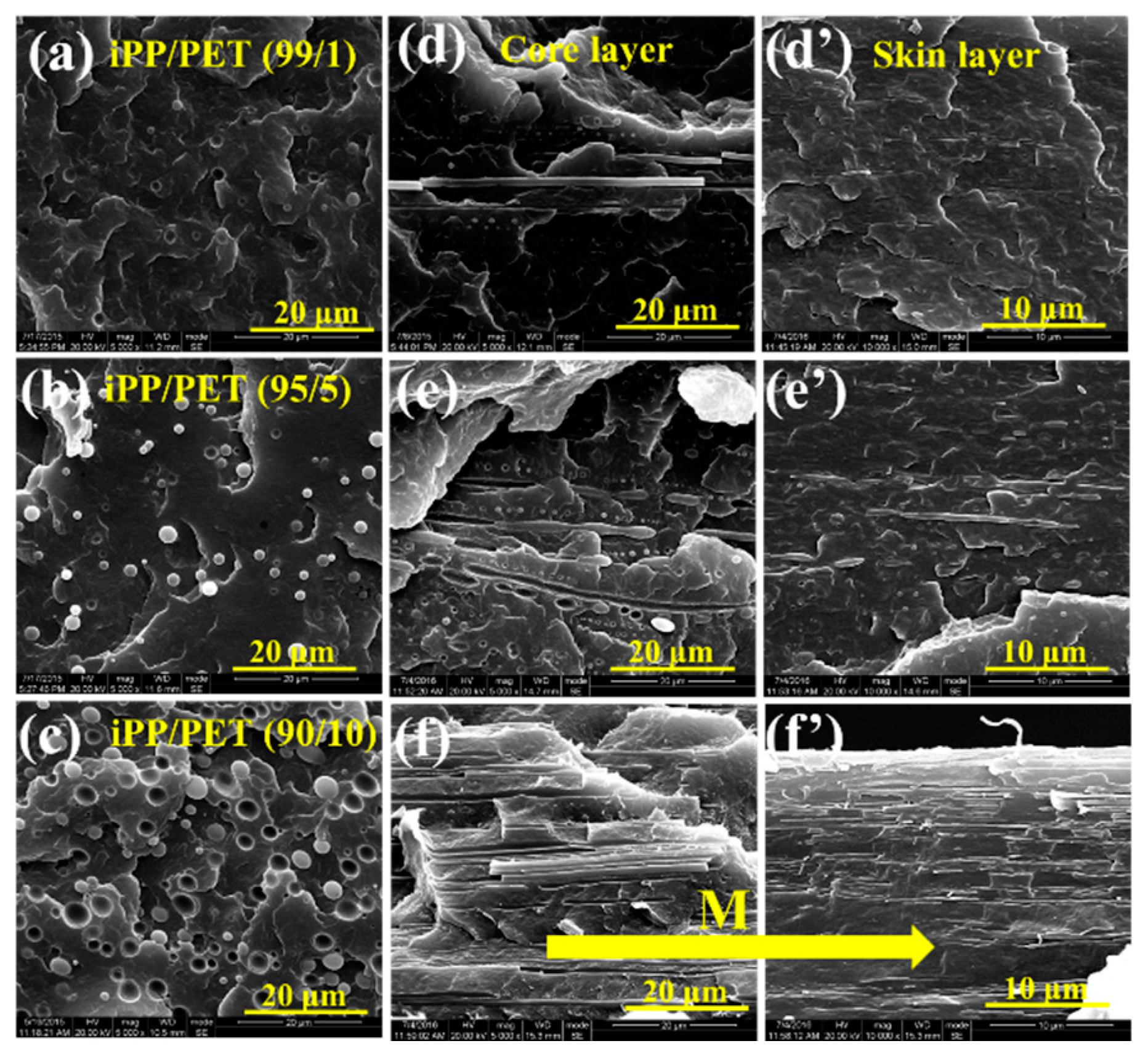 Polymers 12 00219 g003