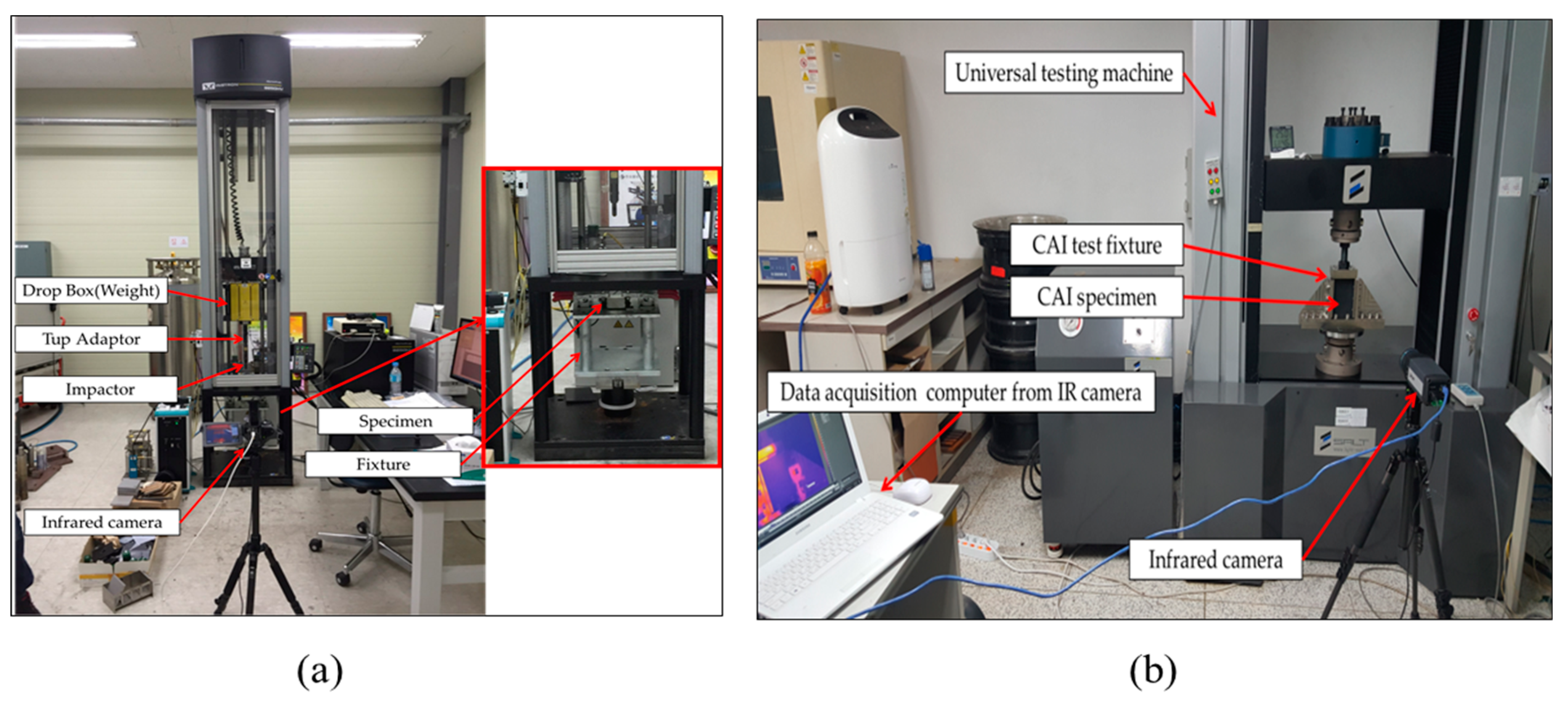 Polymers 12 00224 g002