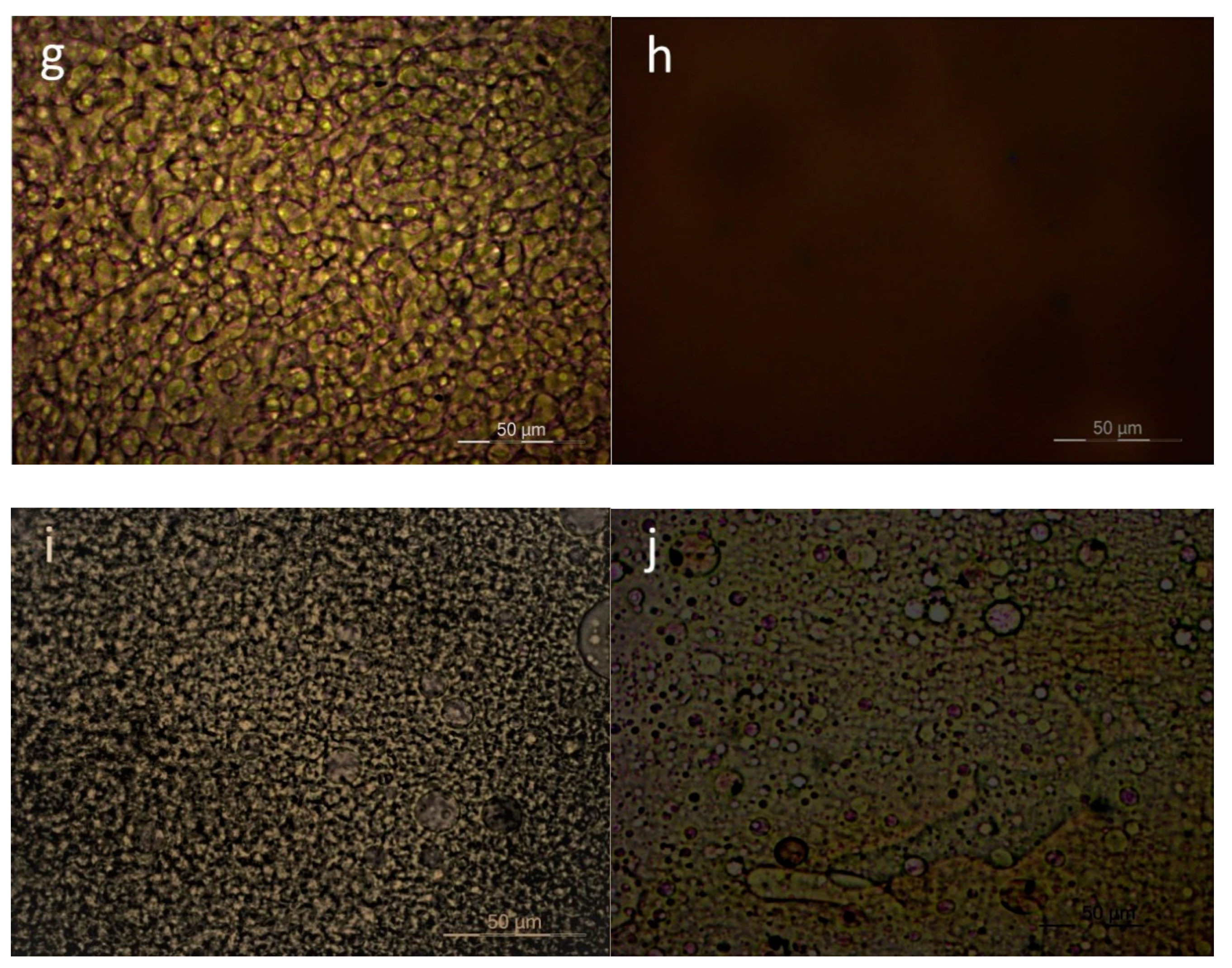 Polymers 12 00225 g006b Polymers 12 00225 g006b