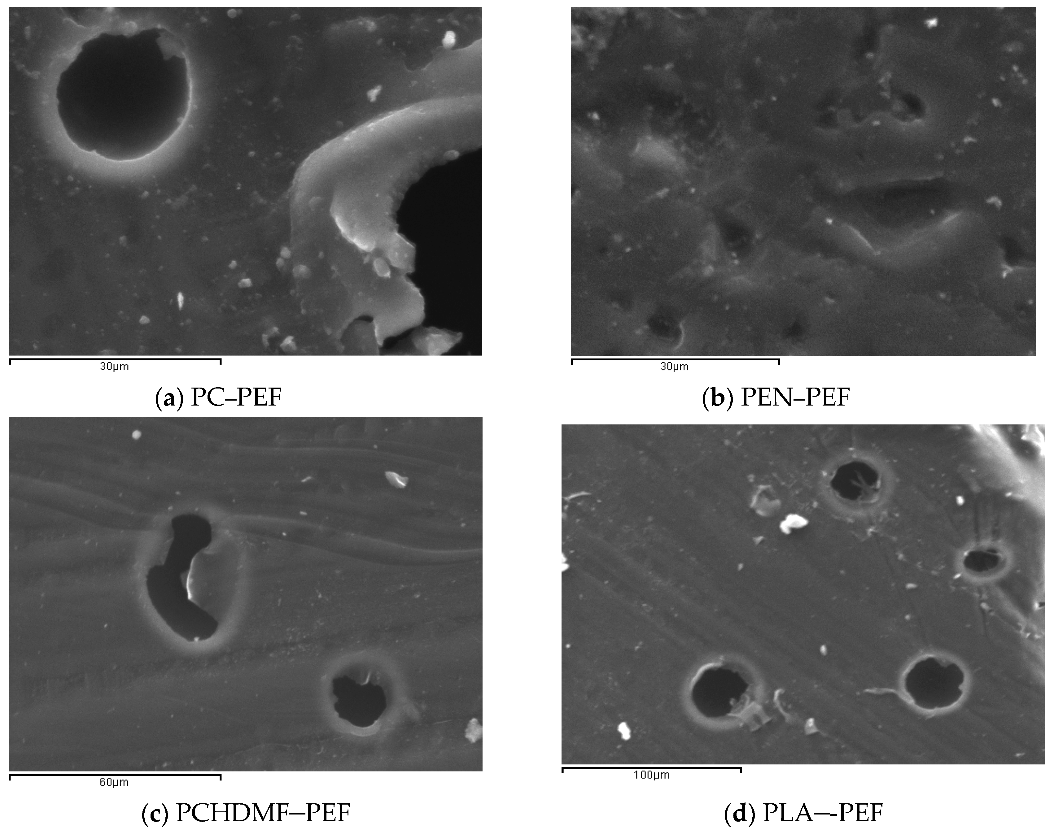 Polymers 12 00225 g007a Polymers 12 00225 g007a