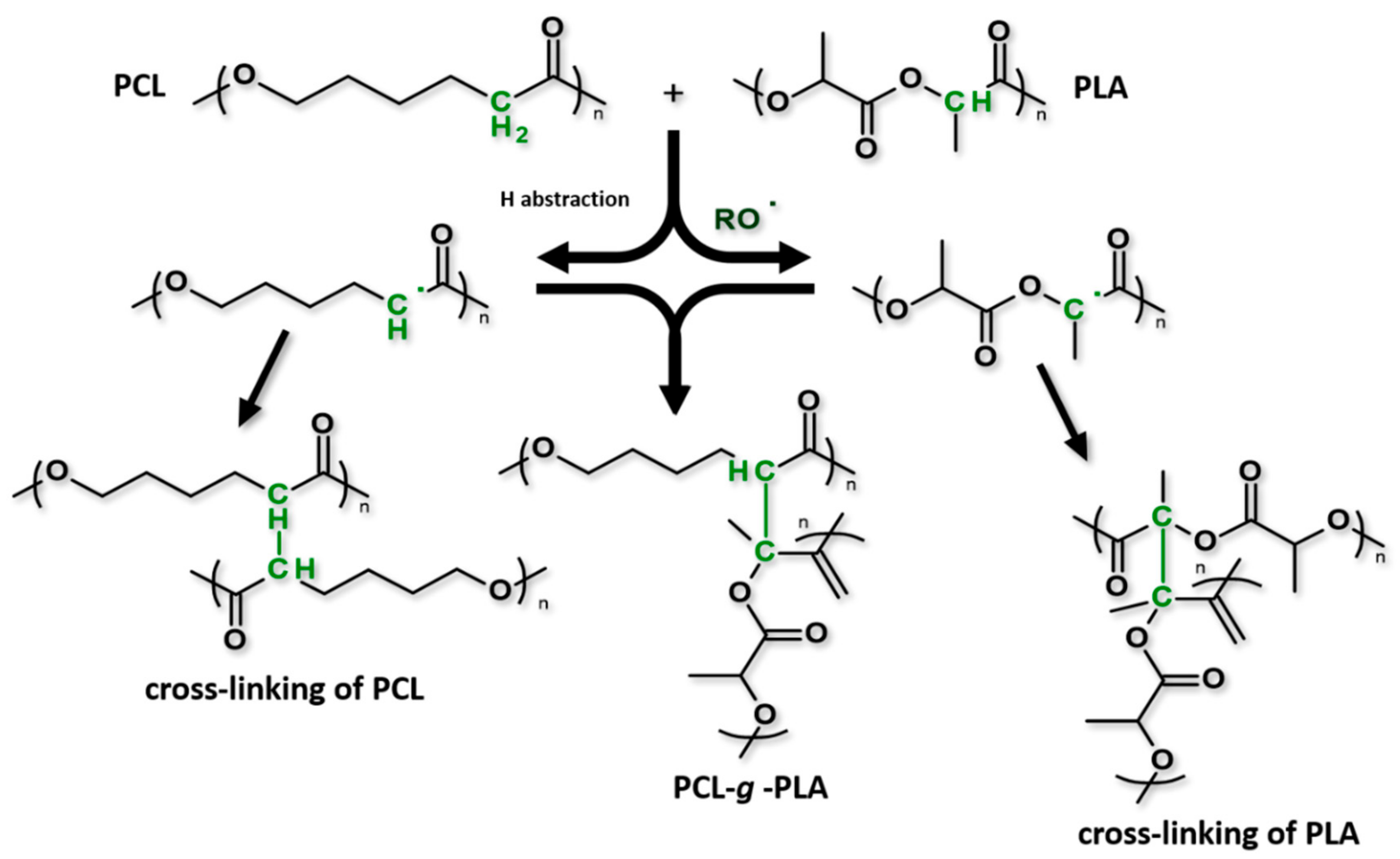 Polymers 12 00228 sch001 Polymers 12 00228 sch001