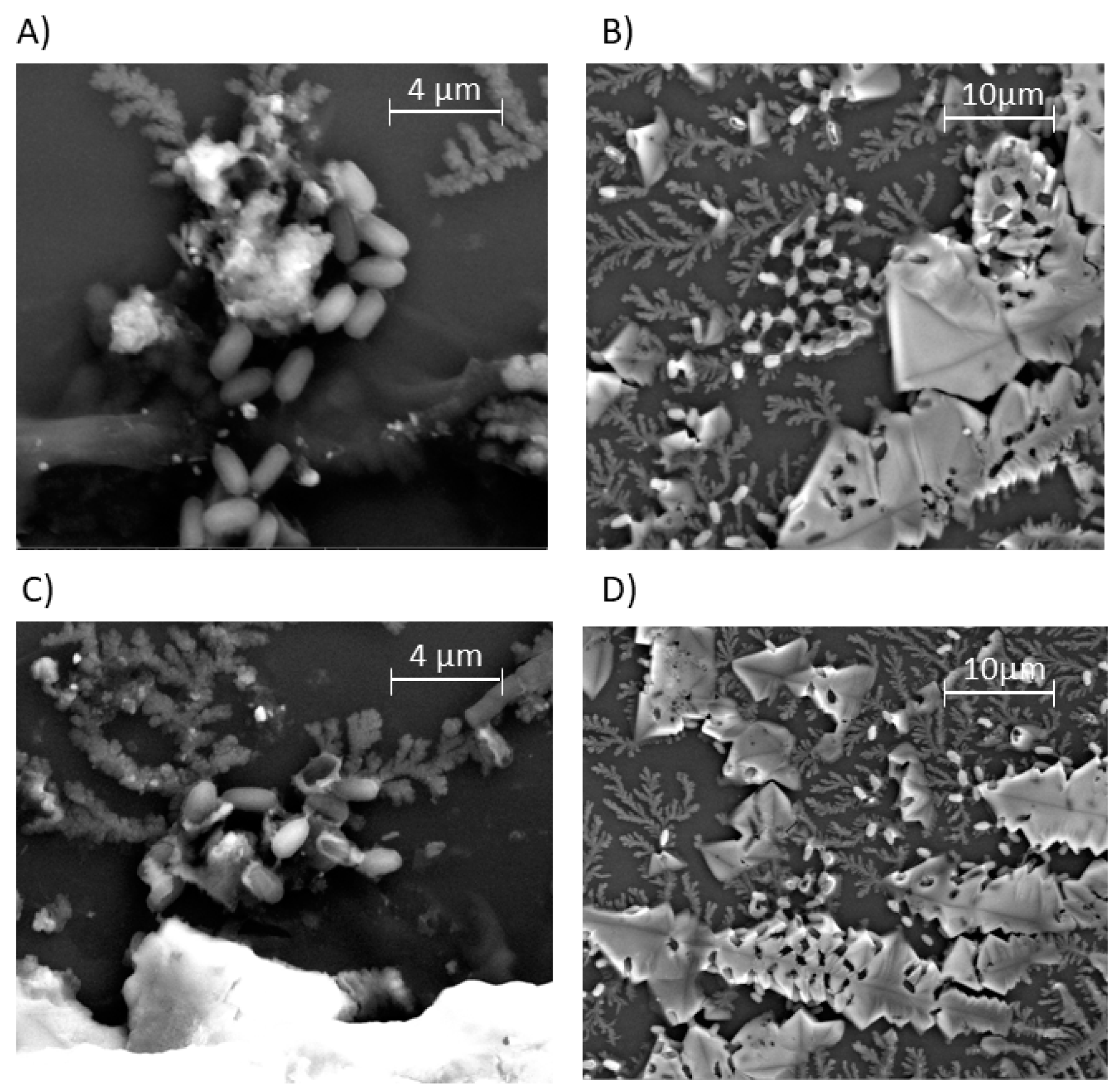 Polymers 12 00230 g007 Polymers 12 00230 g007